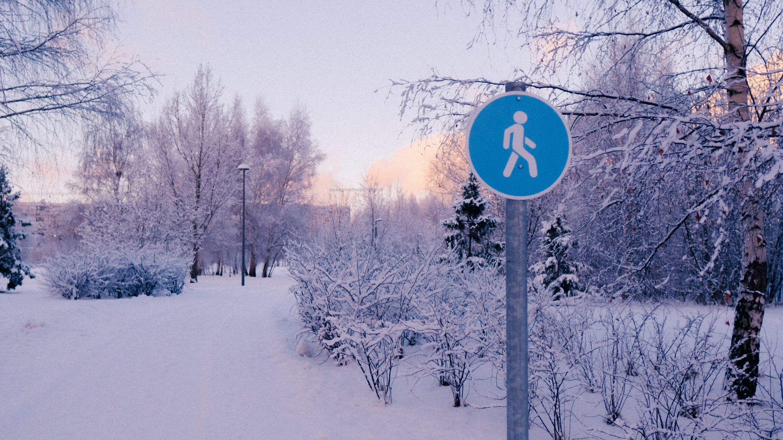 Зимняя сказка. Фёдор Малюгин. Ваш бади в визуале
