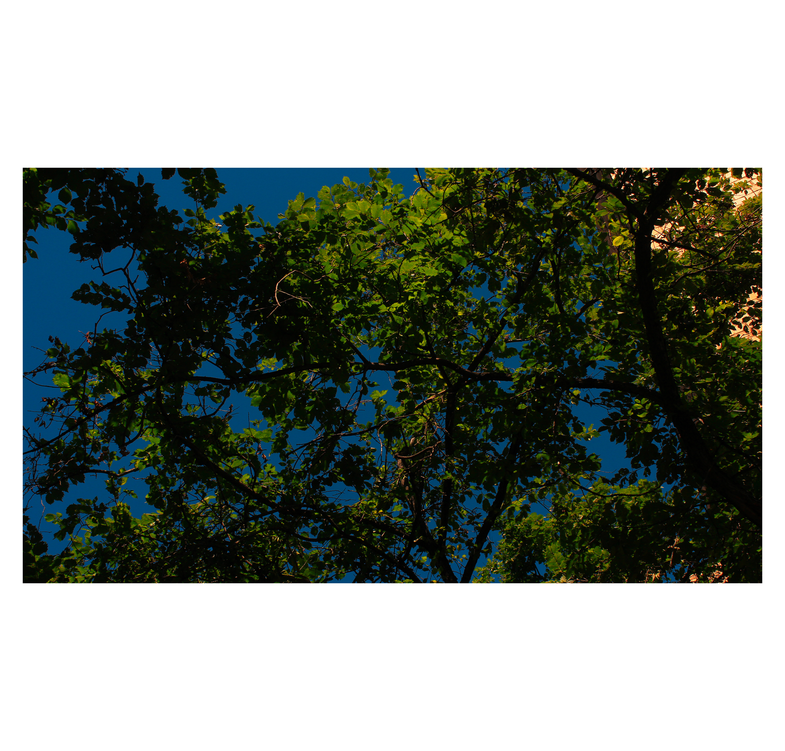 Summertime. Фотограф/дизайнер в Екатеринбурге Хитрый Дмитрий