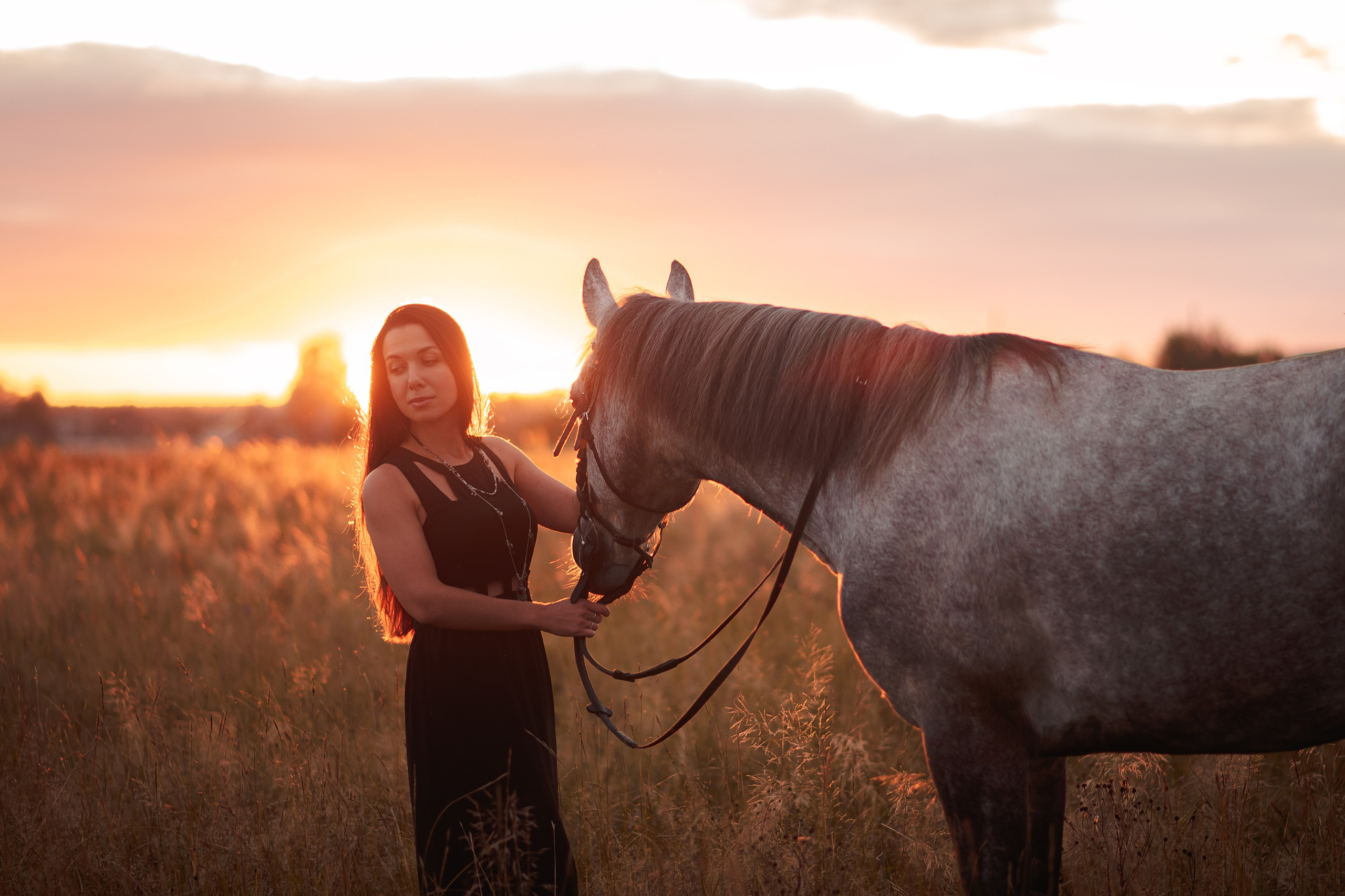 Мария и Дакар — 16.08.2024. Фотограф — Анималист | Анна Абрамова