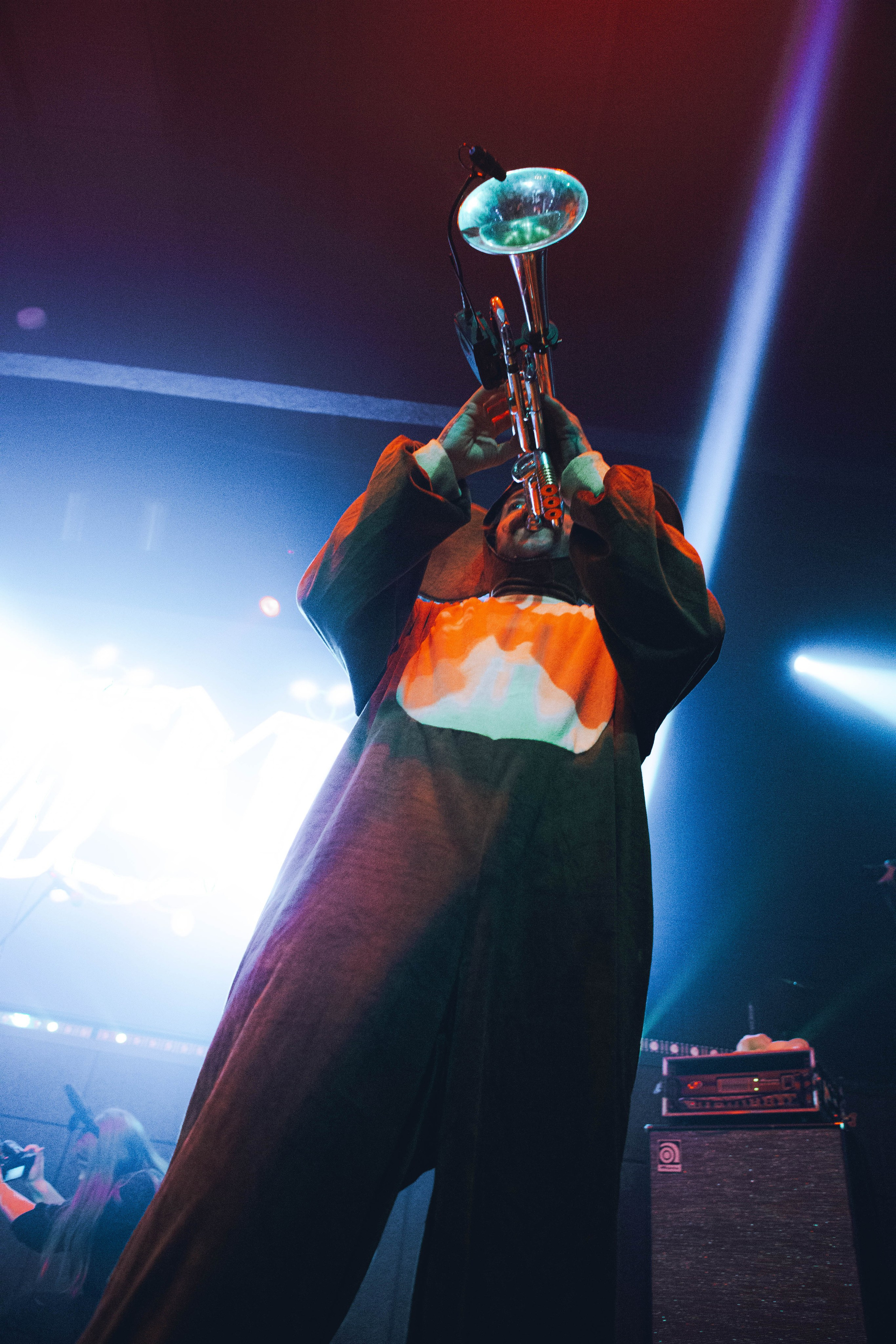 СКОТЫ 20.12.2025. Репортажный и портретный фотограф Михаил Мартиросян