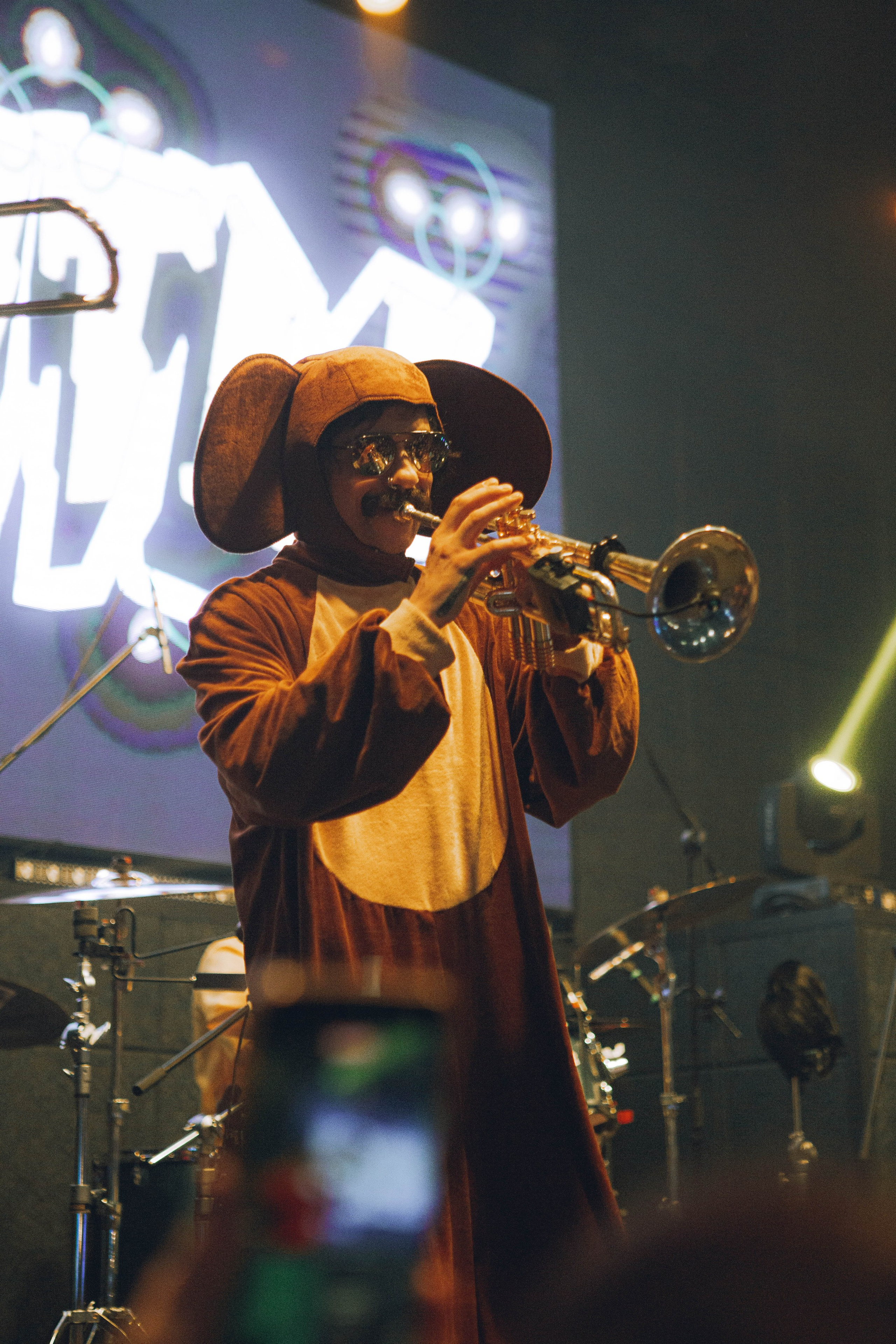 СКОТЫ 20.12.2025. Репортажный и портретный фотограф Михаил Мартиросян