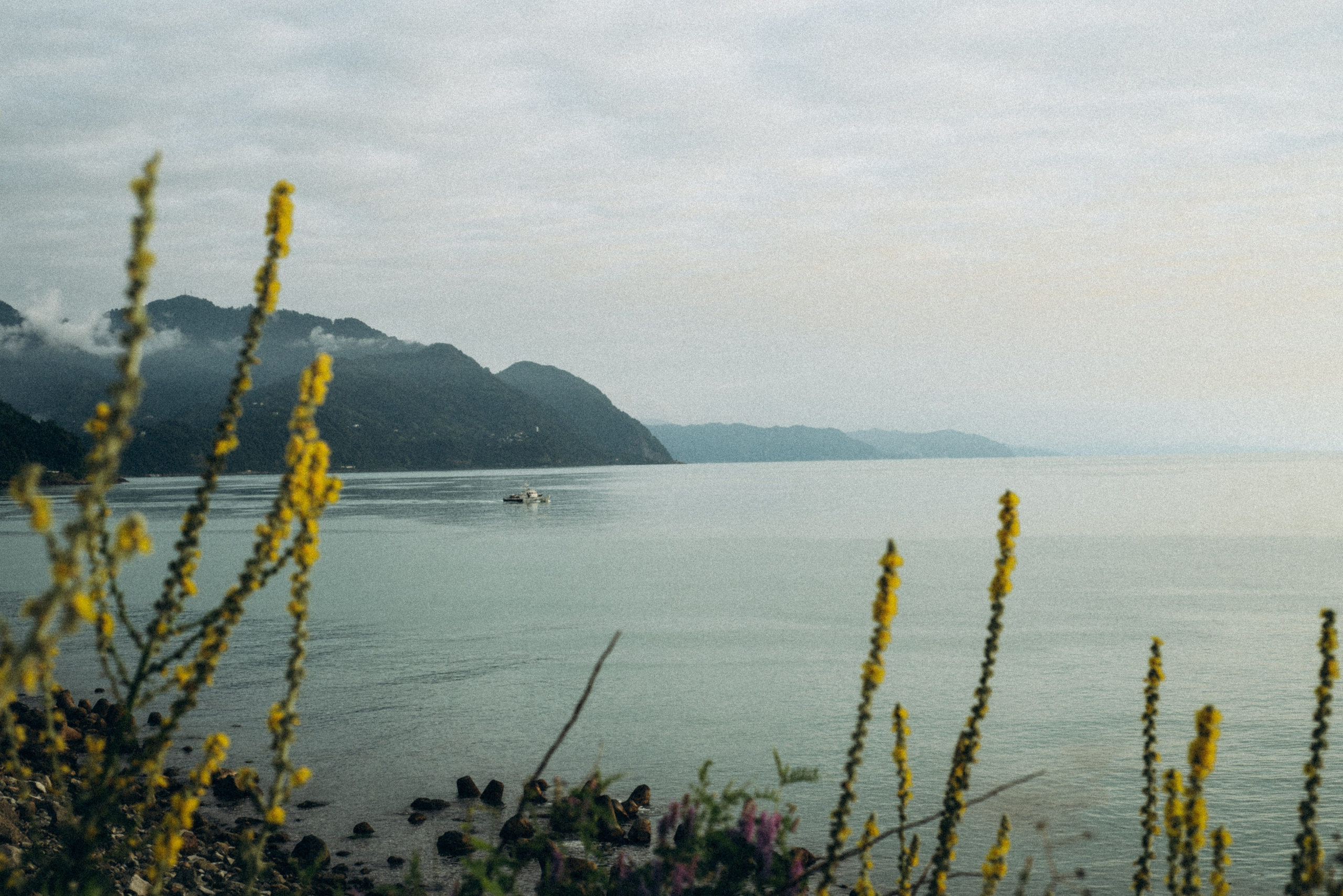 Сарпи, Грузия 🇬🇪. Anita_photo