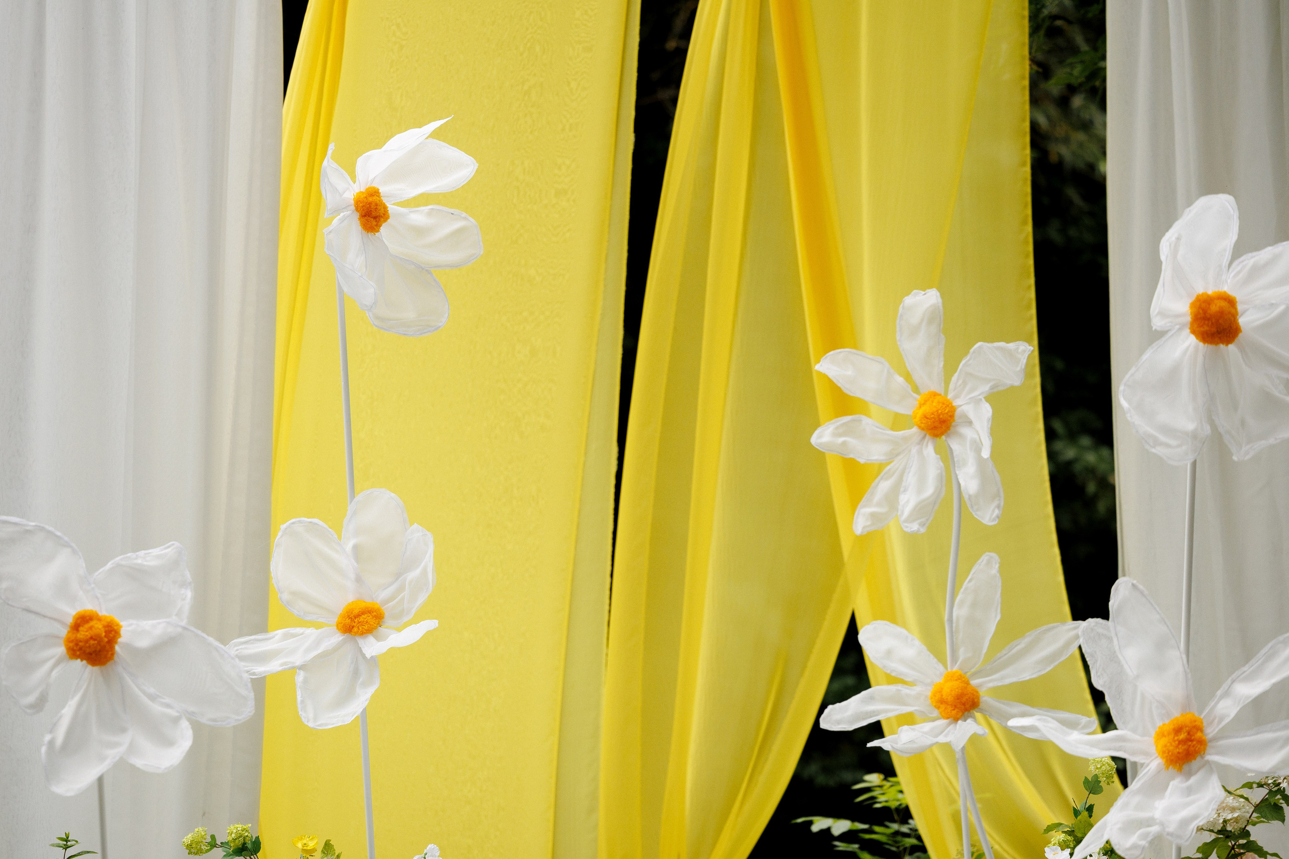 Ромашковые ромашки. Свадебный и семейный фотограф в Твери, Москве, Санкт-Петербурге