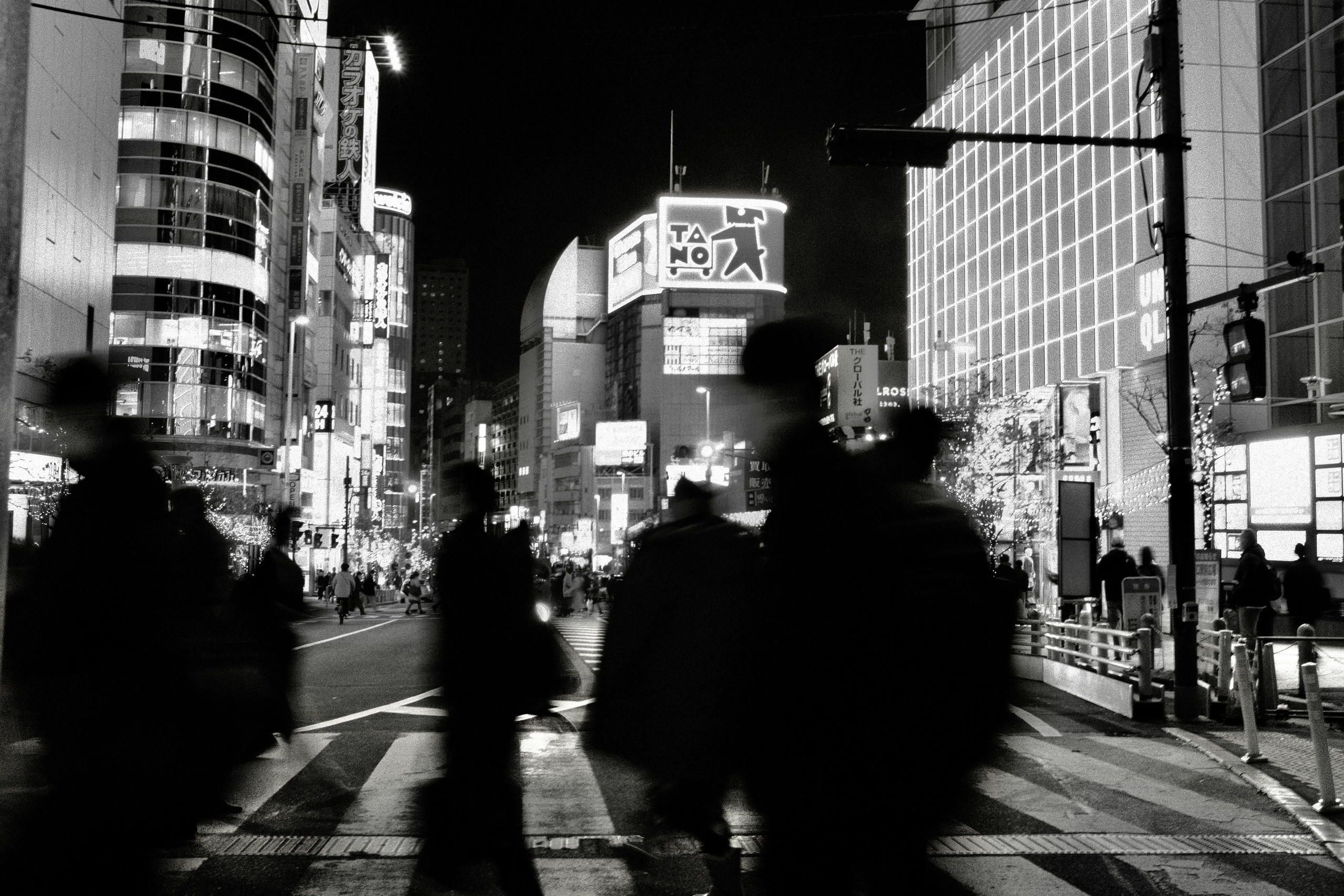 Faces of Tokyo. Regina Platonova