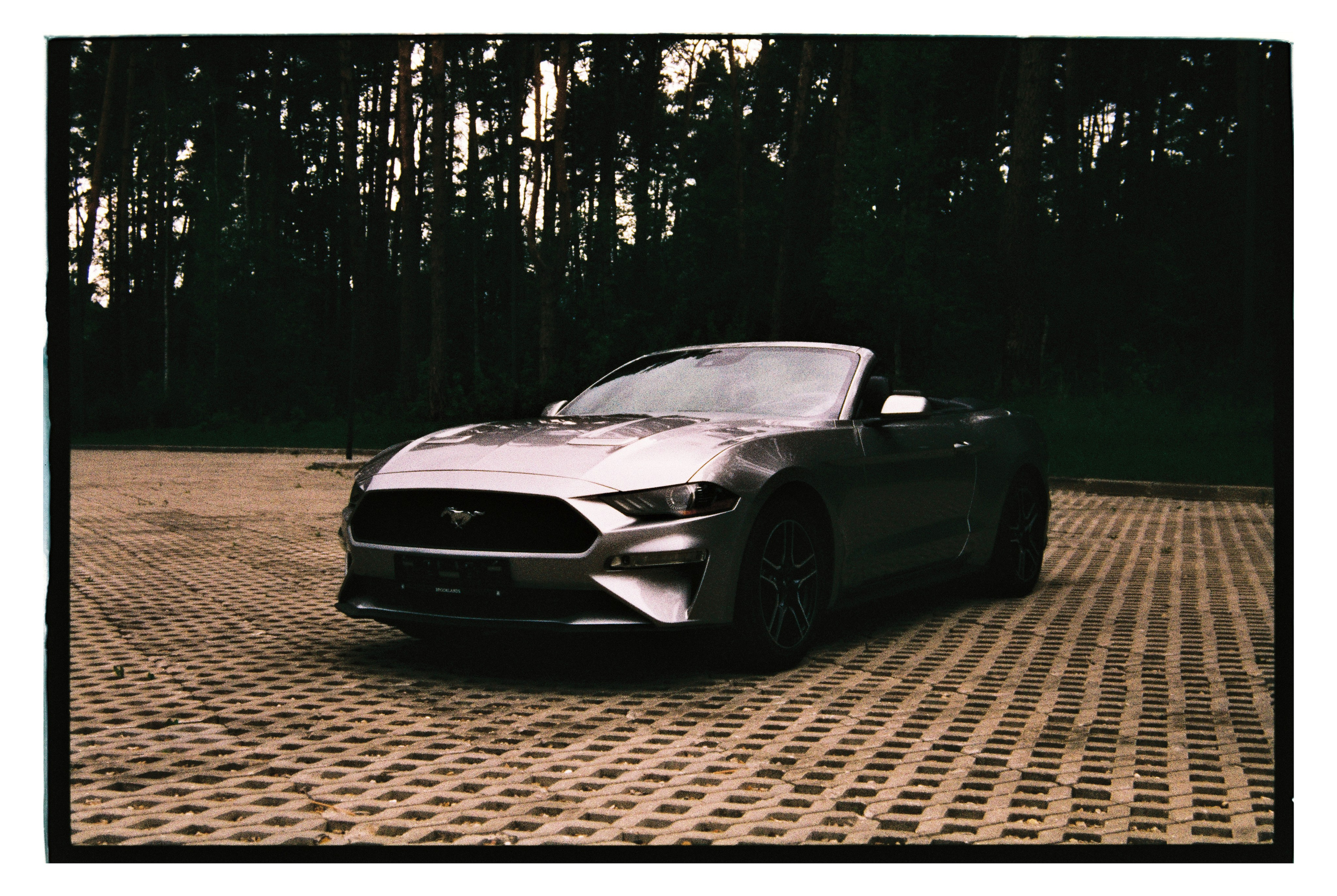 CARS. ANNA — PHOTOGRAPHER