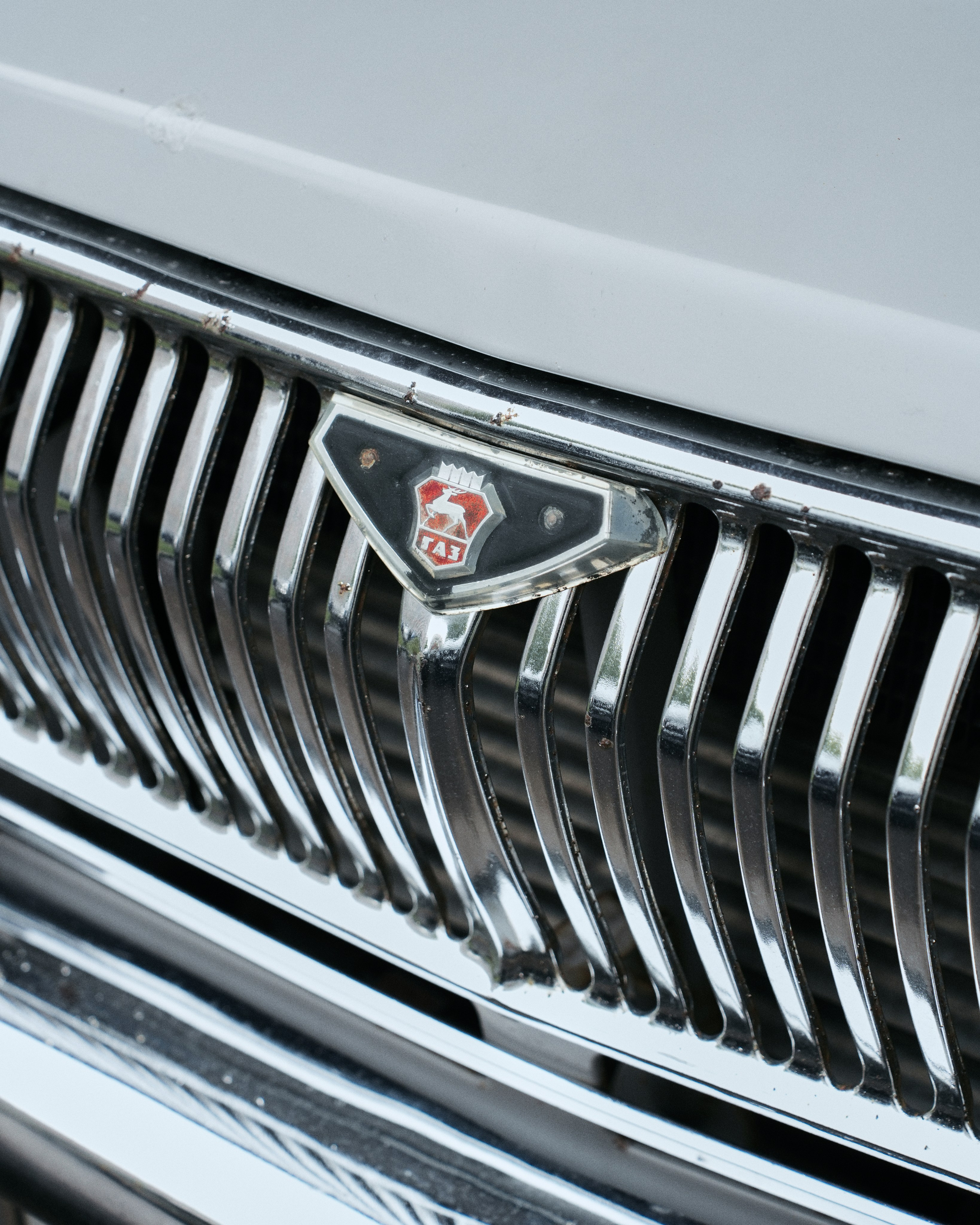 CARS. ANNA — PHOTOGRAPHER