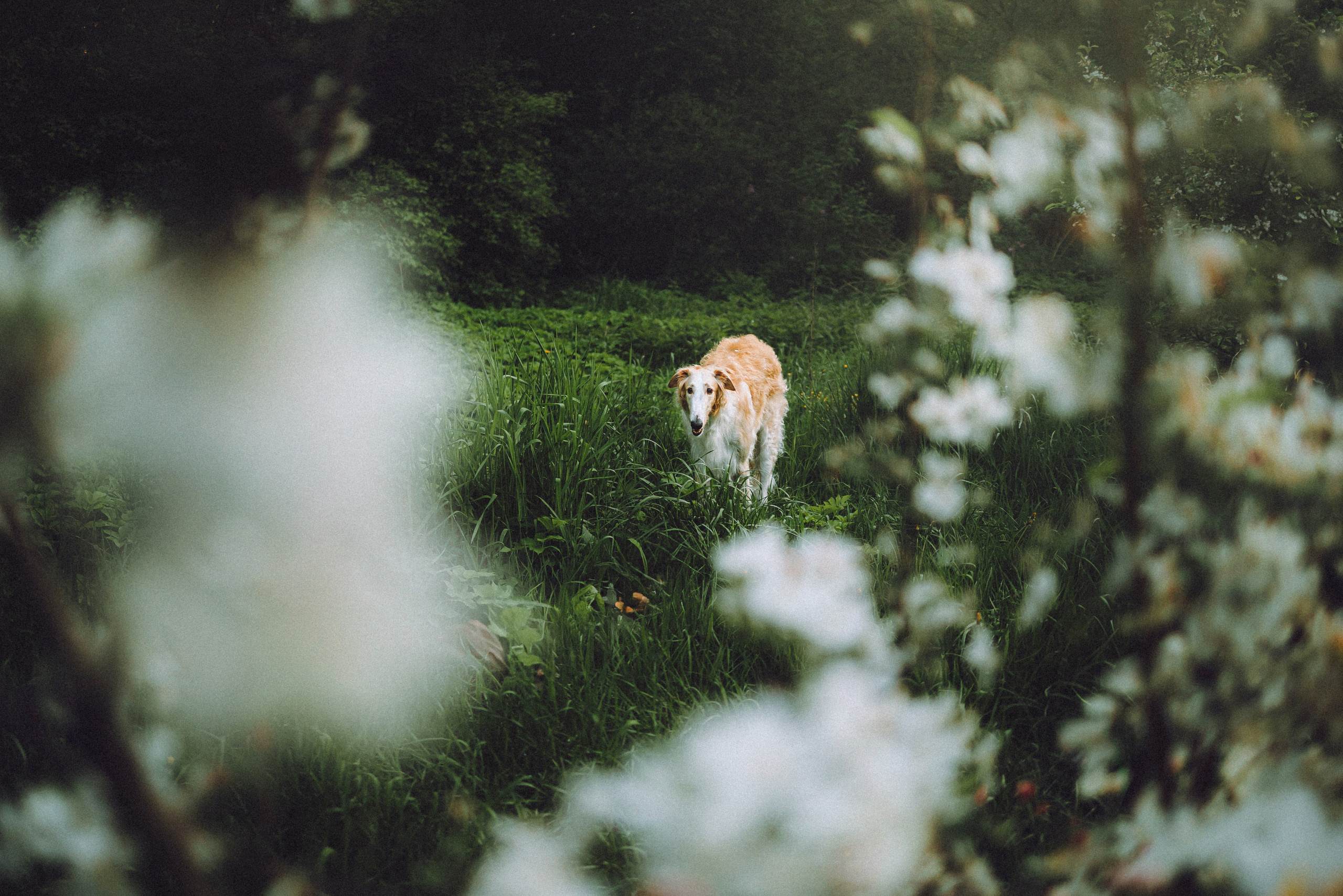 Илай, Зайка и их семья
