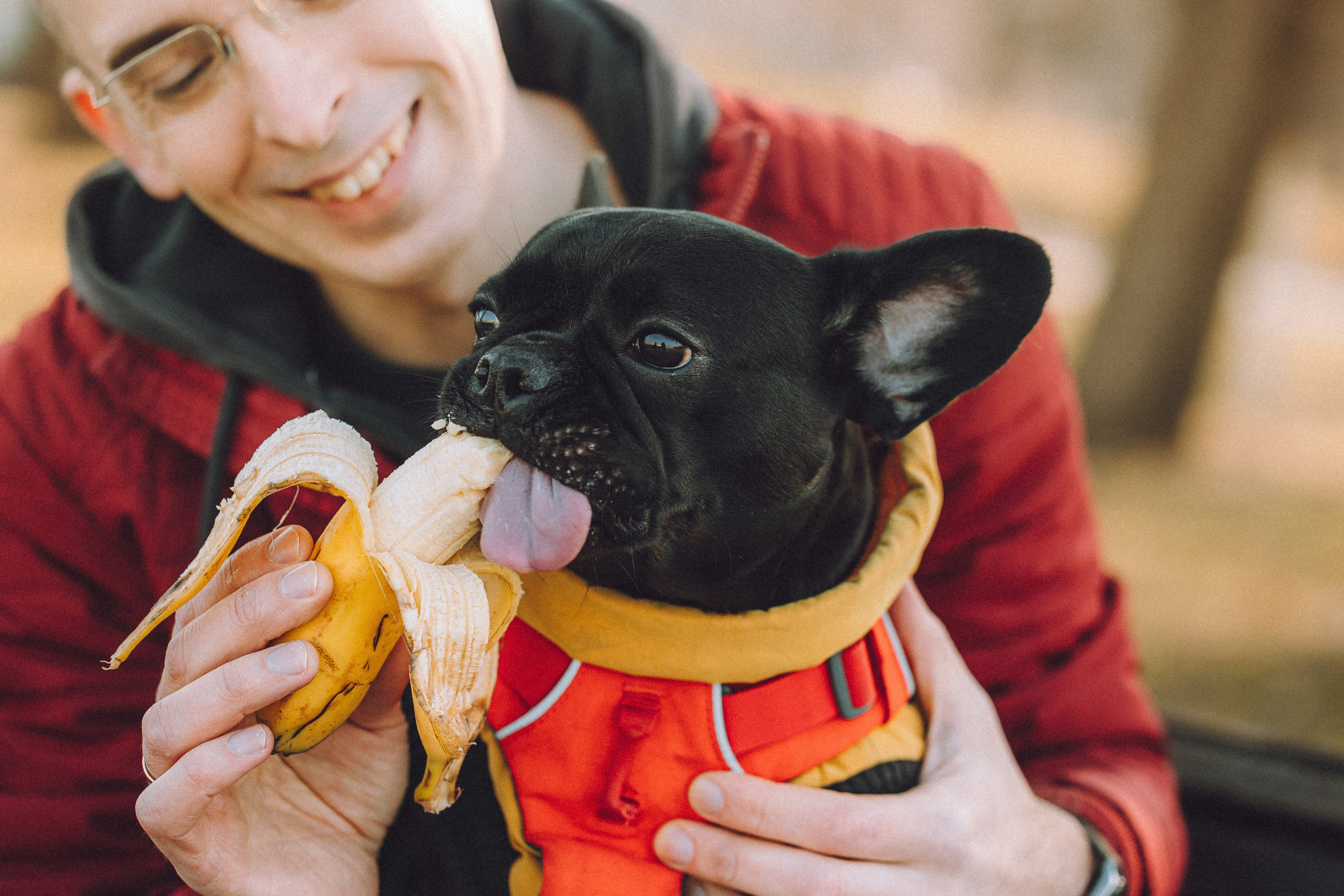 Саша, Дима и Шпуля