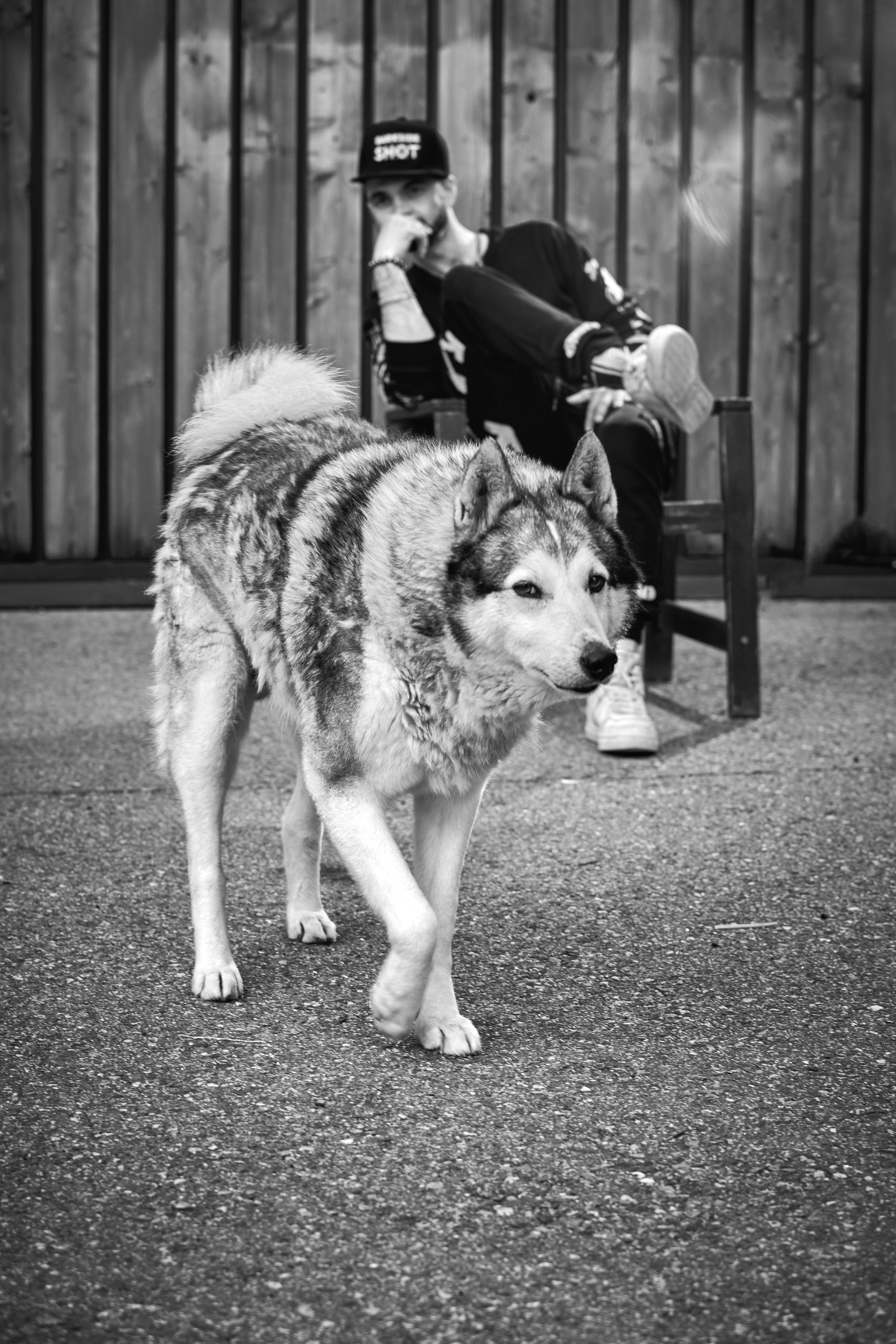Фотограф в Сочи Дмитрий Полянский. Фотограф в Сочи Дмитрий Полянский