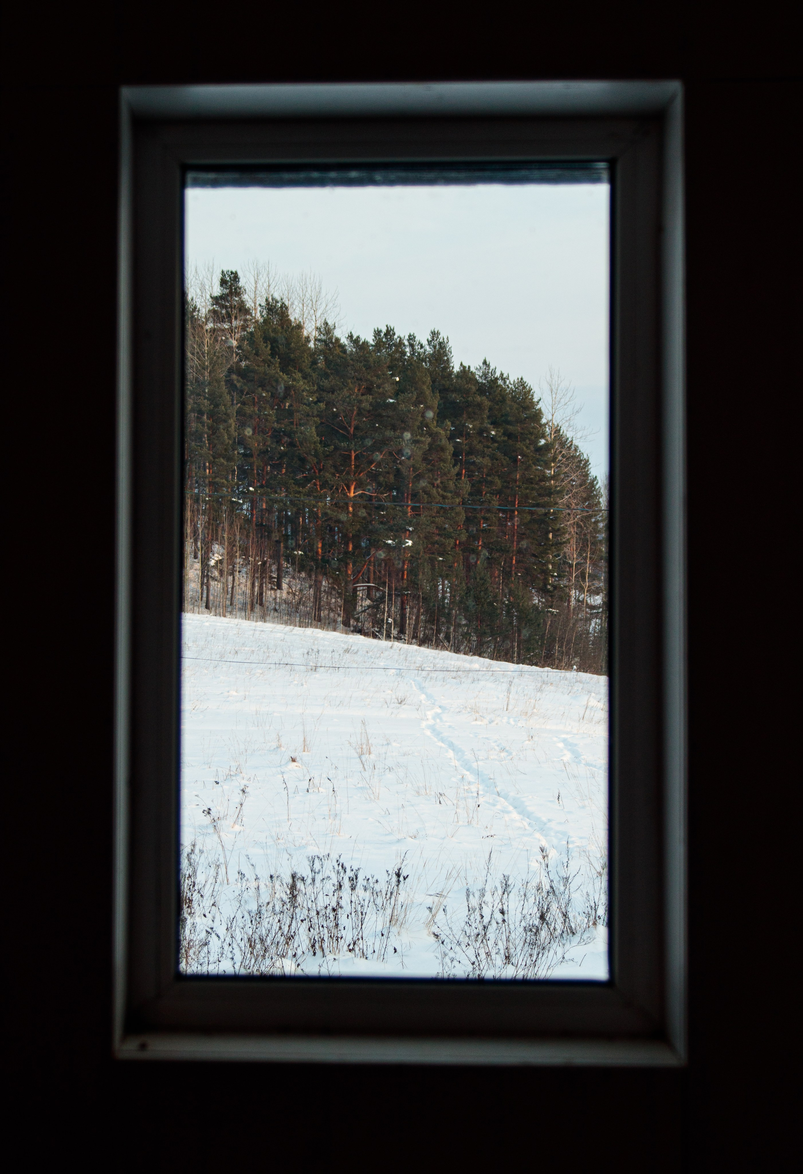 И вокруг меня. Портретный и концертный фотограф в Санкт-Петербурге Егор Телятников