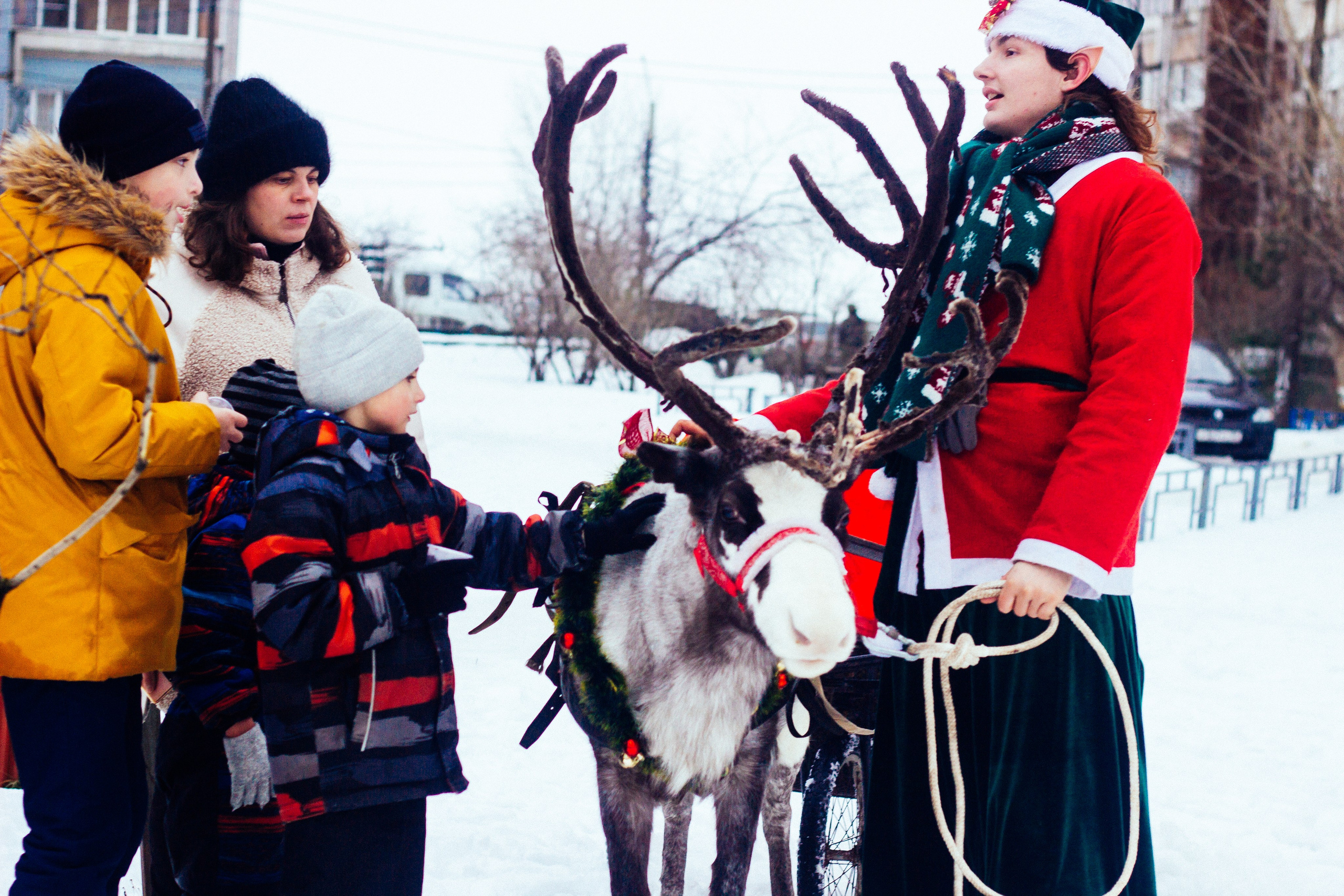 Дворовая ёлка. Детский и семейный фотограф, фотограф мероприятий Нижний Новгород