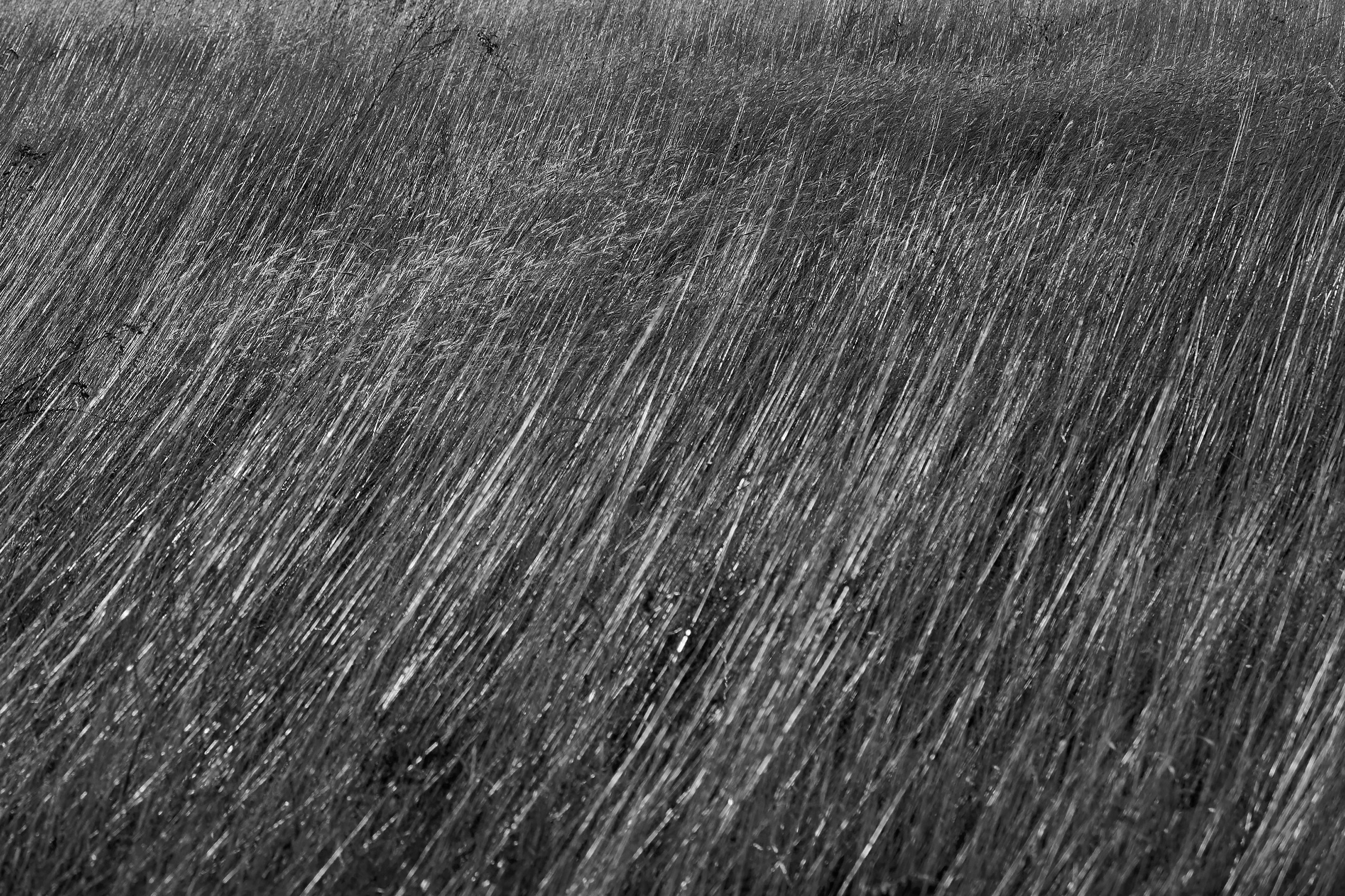 Текстуры — природа. Яркие фото на Чёрном море