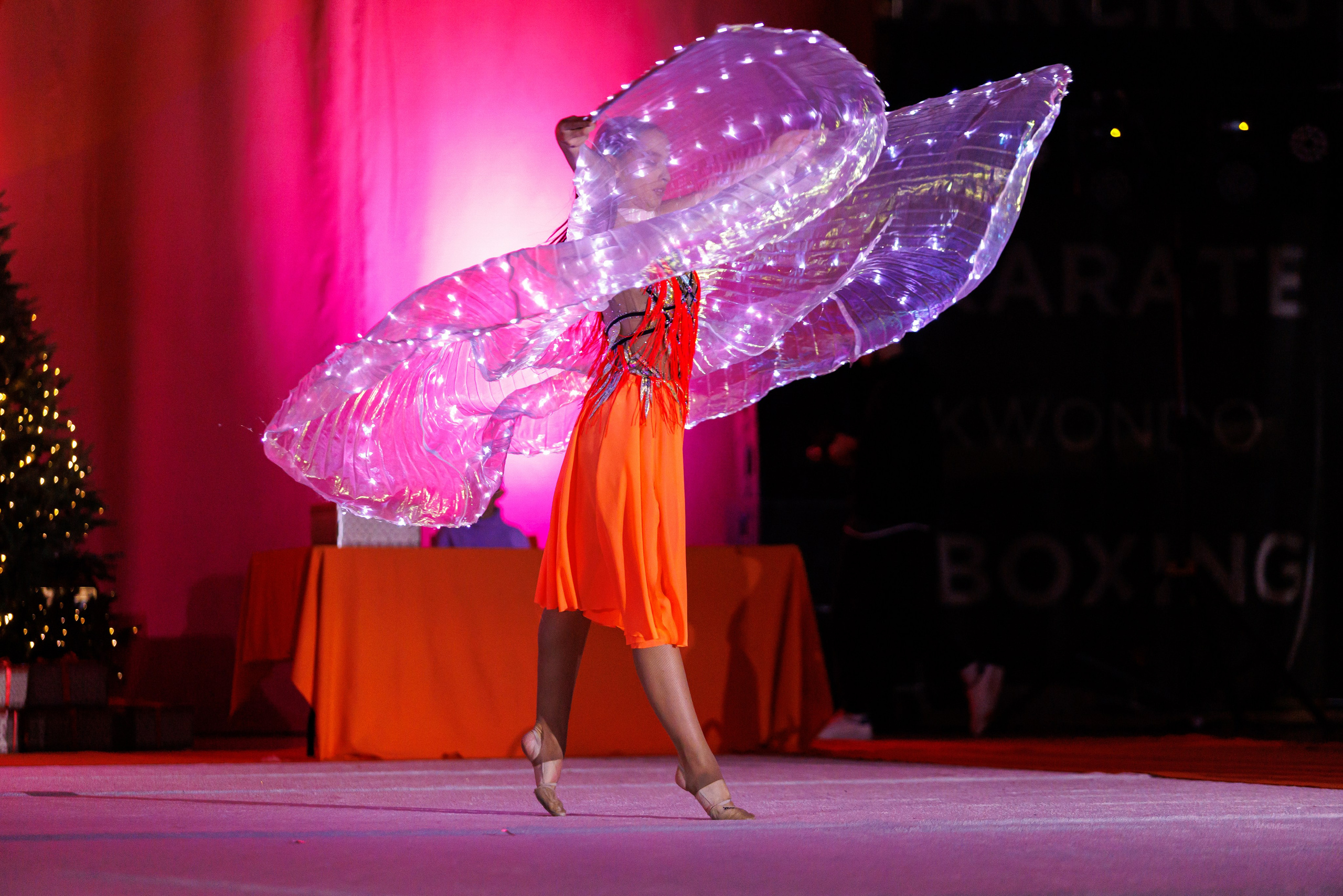 Северное Сияние отчётный концерт 2023. Репортажный, Event фотограф в Санкт-Петербурге и ЛО Морозов Дмитрий