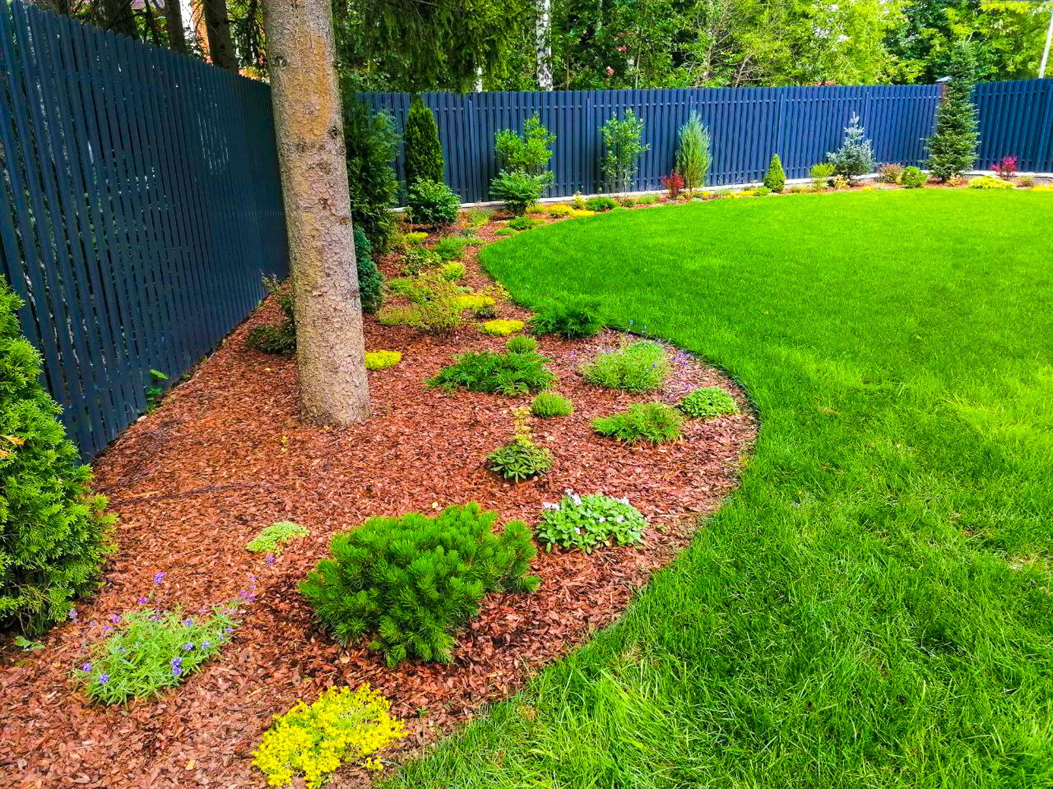 Gramina Campis — ландшафтное бюро в Москве и Подмосковье. Дизайн, озеленение, благоустройство