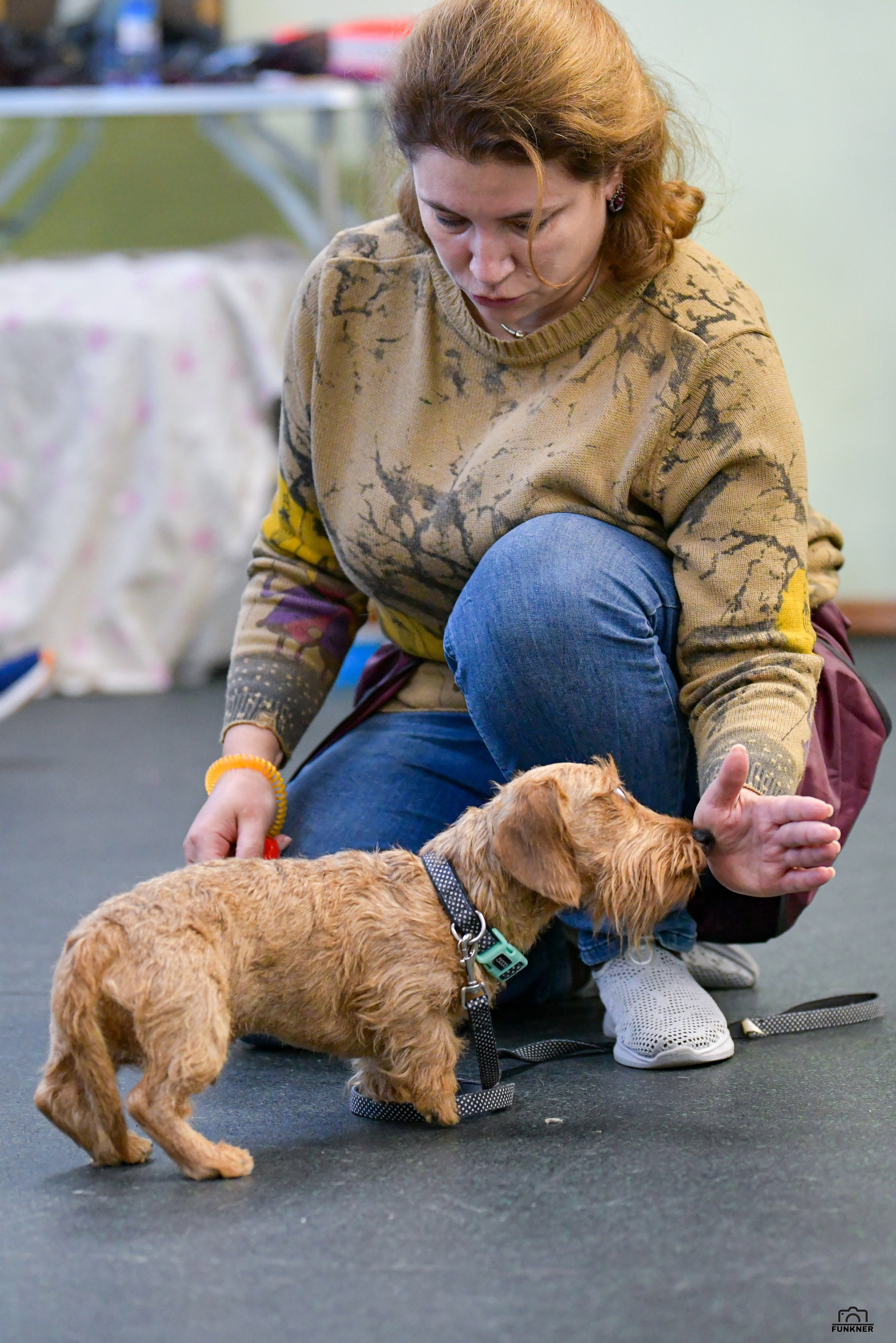 Кинологический клуб «Бодрый хвост». Свой взгляд через объектив