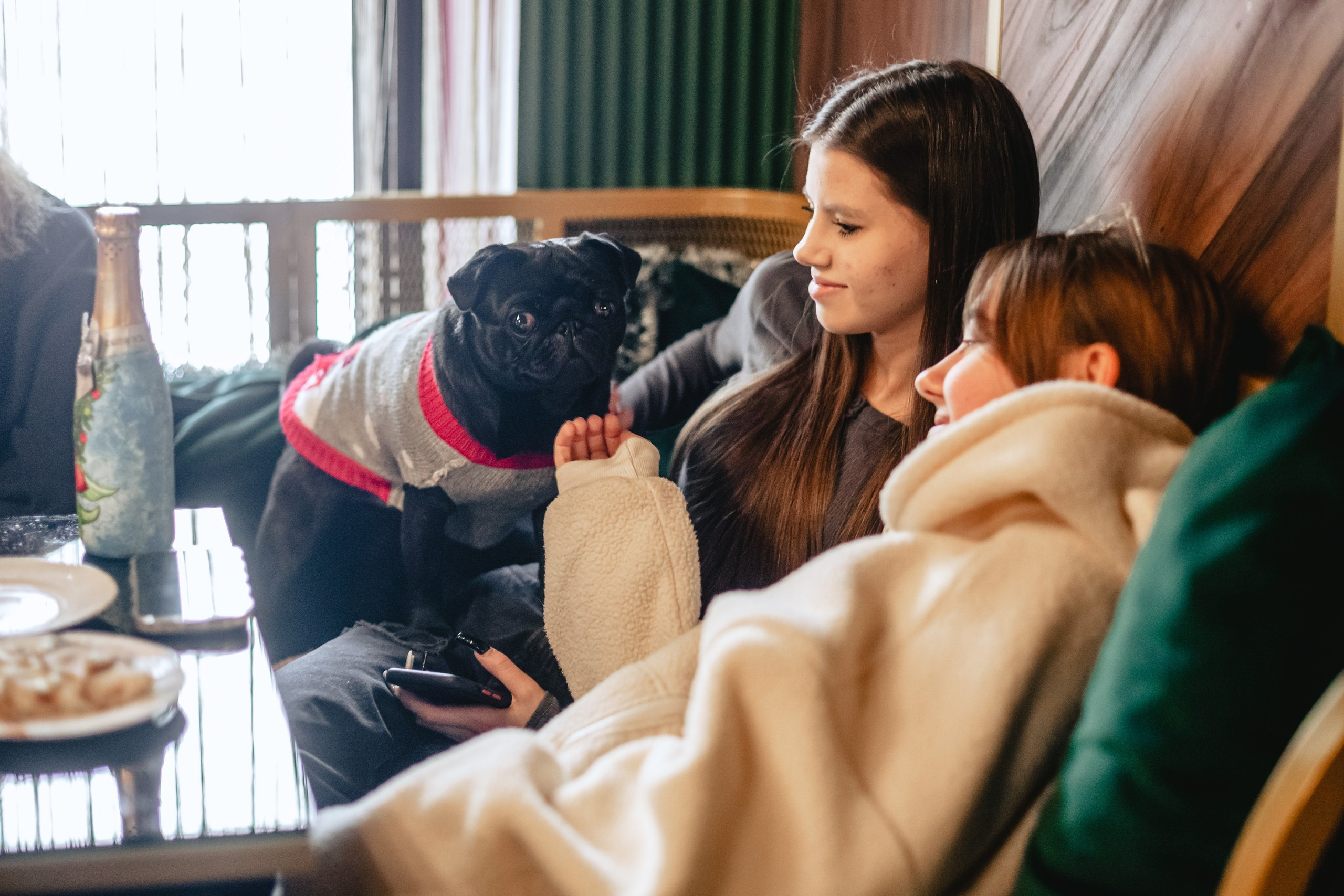 Мопсовстреча 02.12.2023. Фотограф-анималист Татьяна Степанова