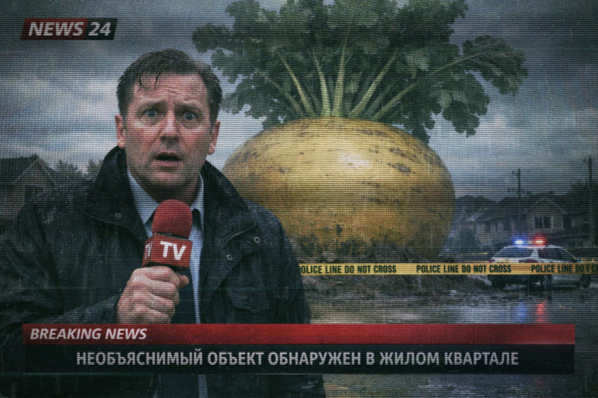 Про репку. Андрей Иванов. фотографические практики