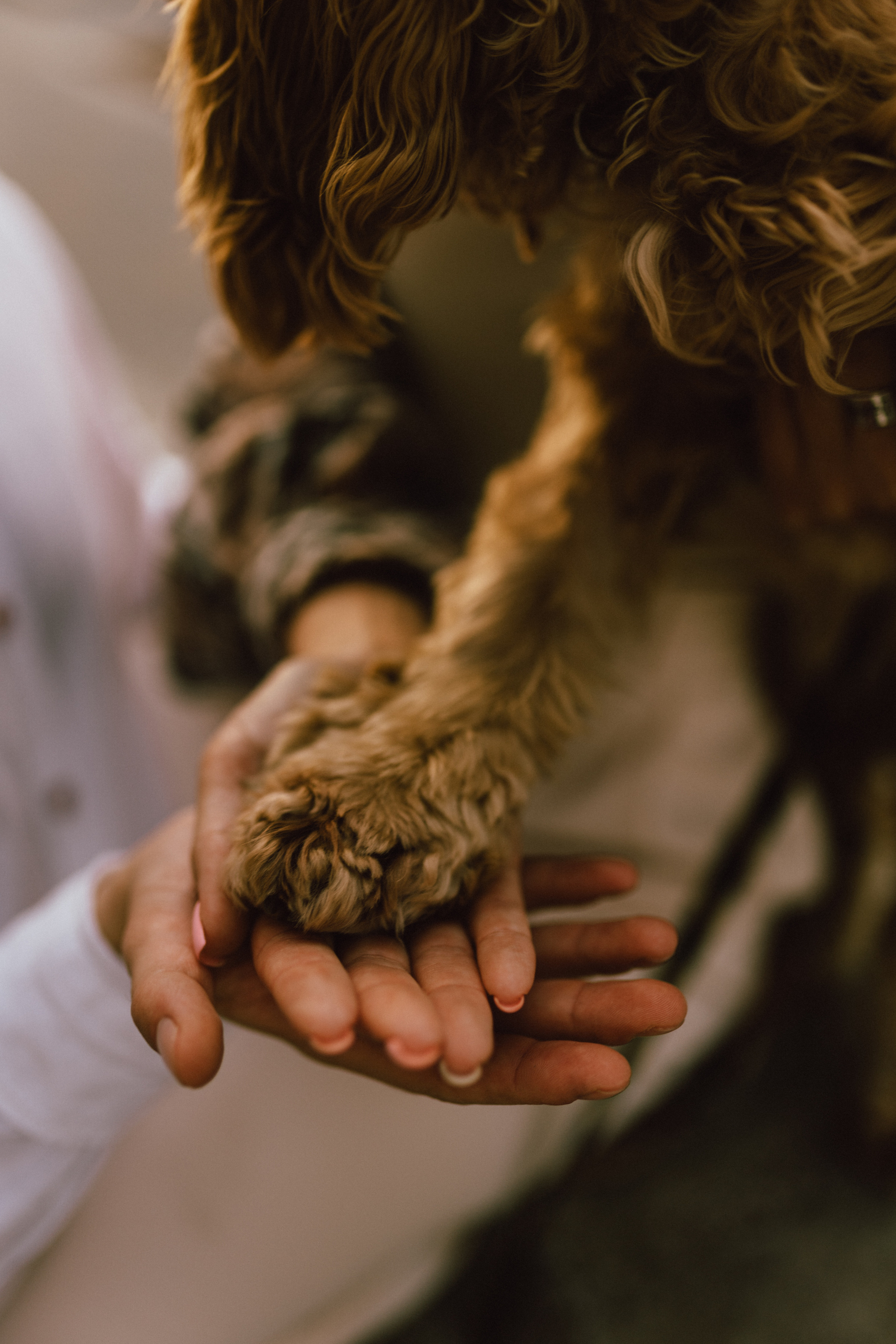 Любовь в городе N. Свадебный фотограф Нижний Новгород