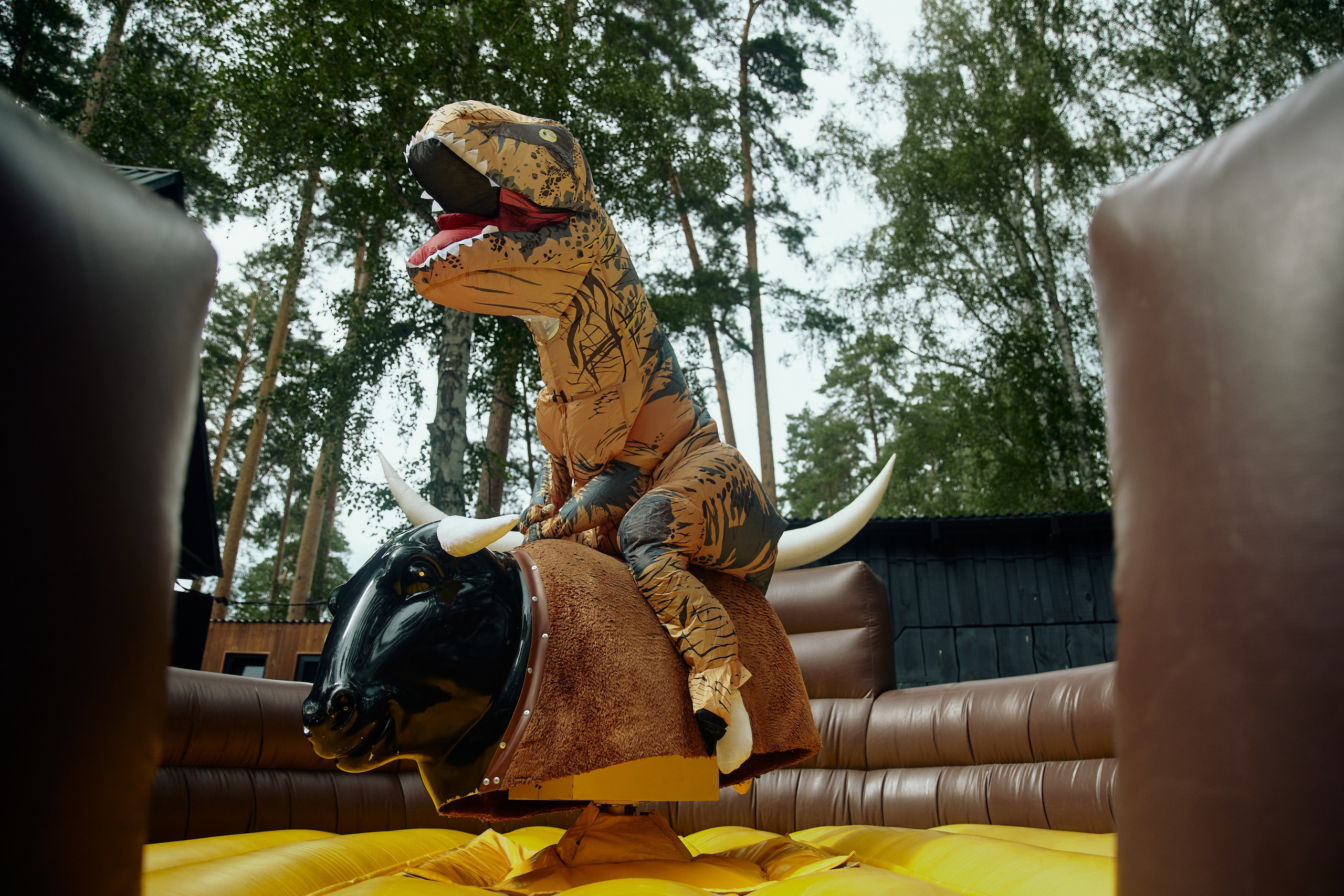 AVLN TEN YEARS. Дмитрий Мазуркевич: Профессиональный Репортажный Фотограф