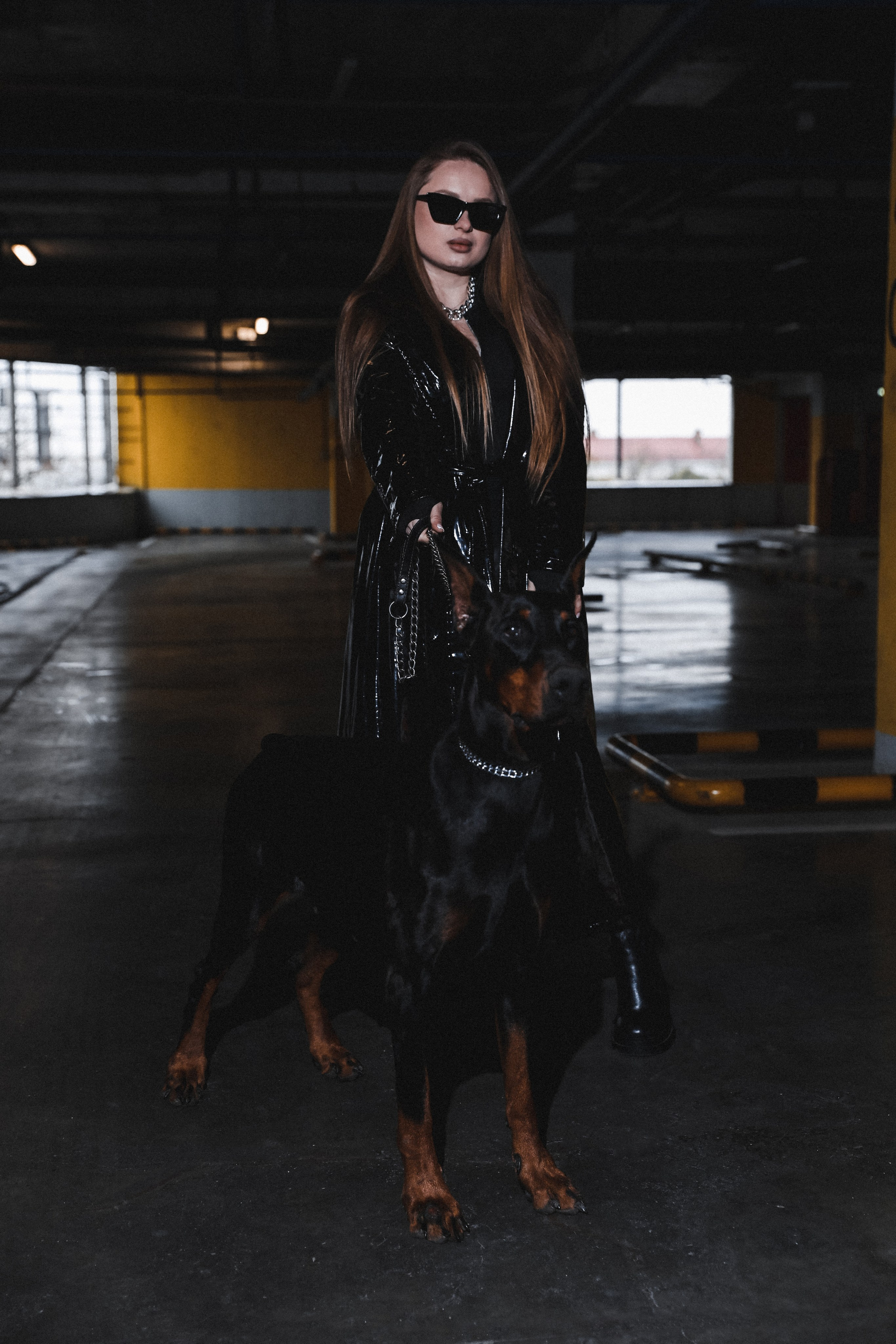 ПРОЕКТ «ДОБЕРМАНЫ». Photographer Viktoriya Markushina «My world throug»