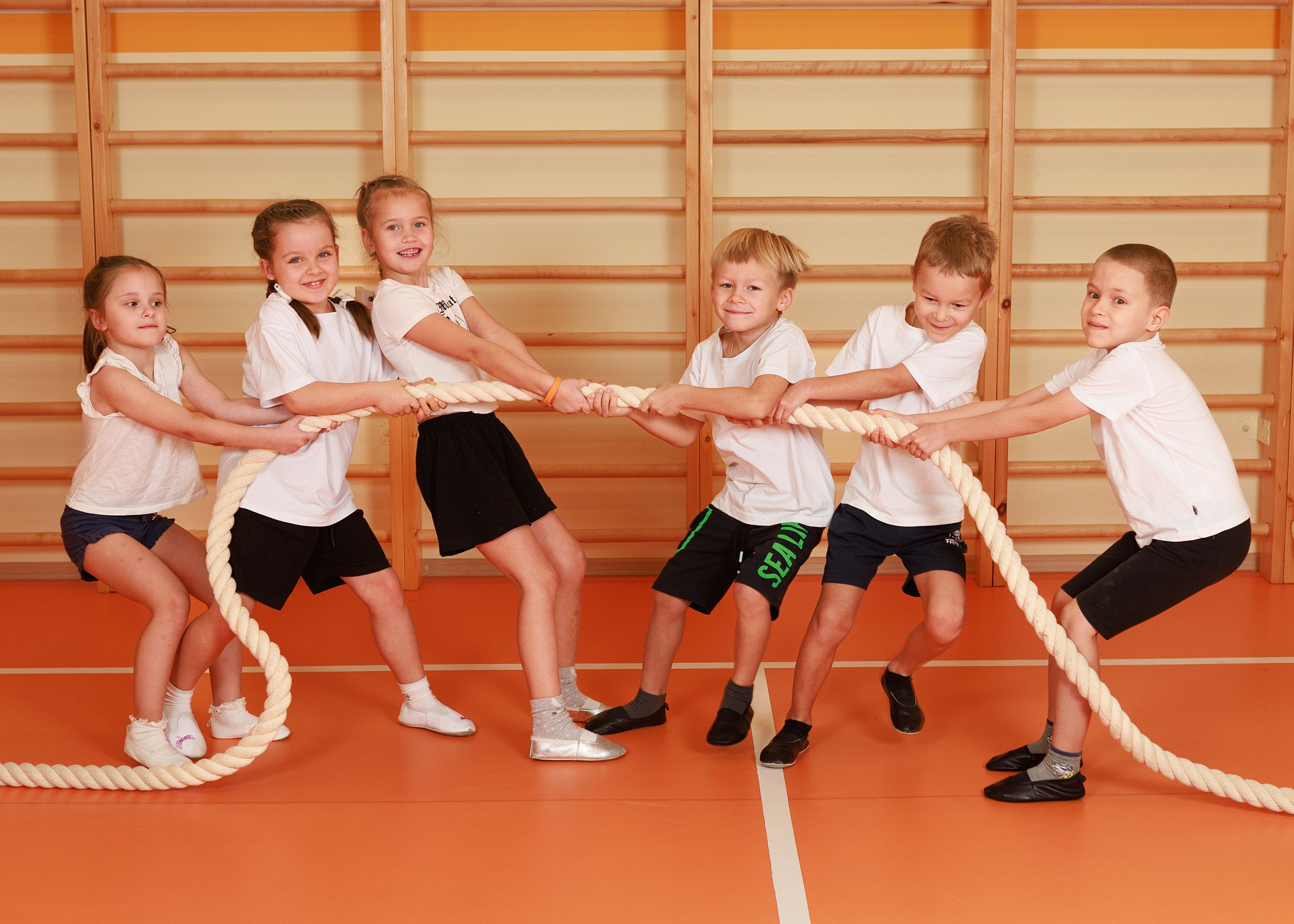 Детский сад. Выпускные альбомы для школ и детских садов