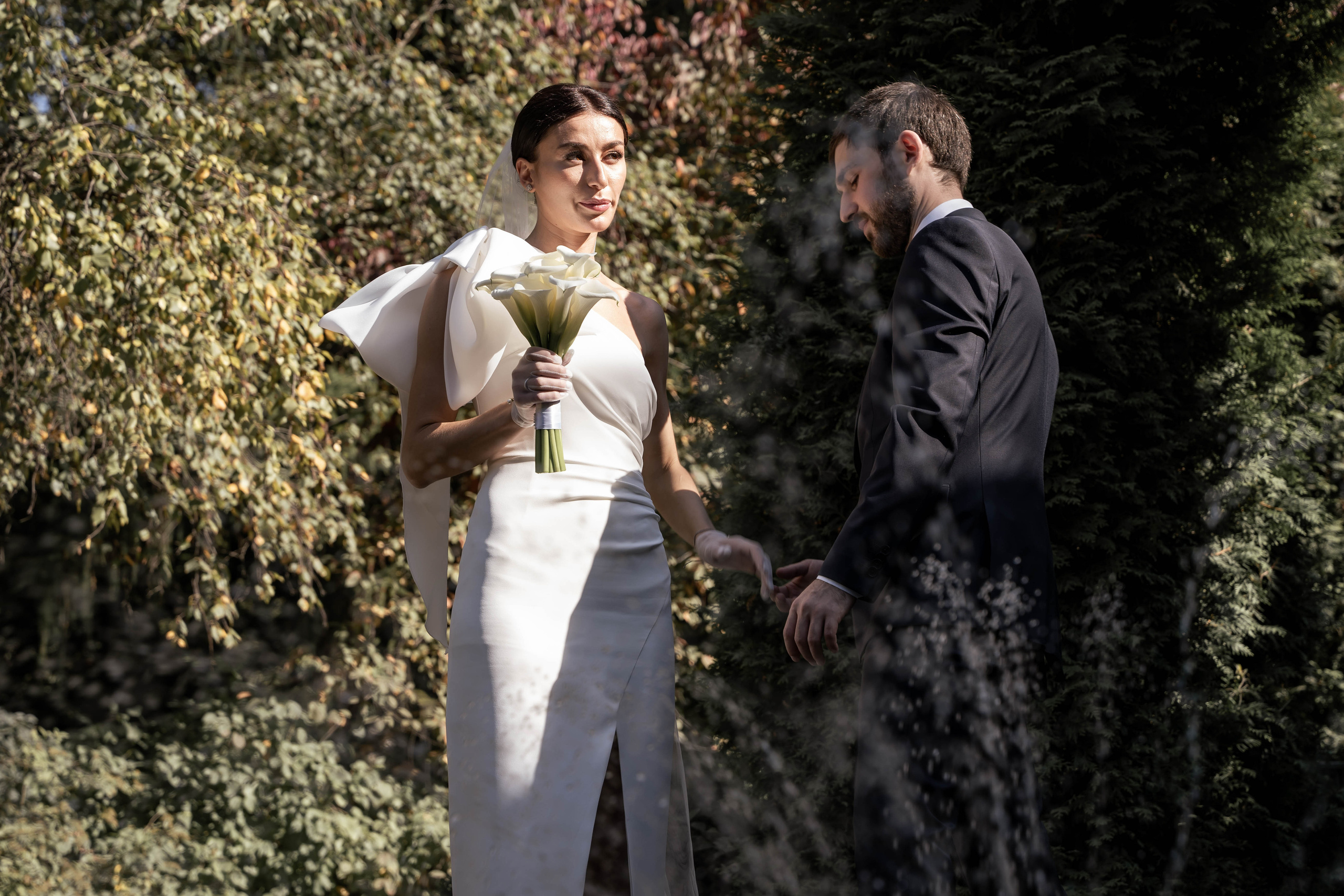 Отель Националь и Аптекарский огород