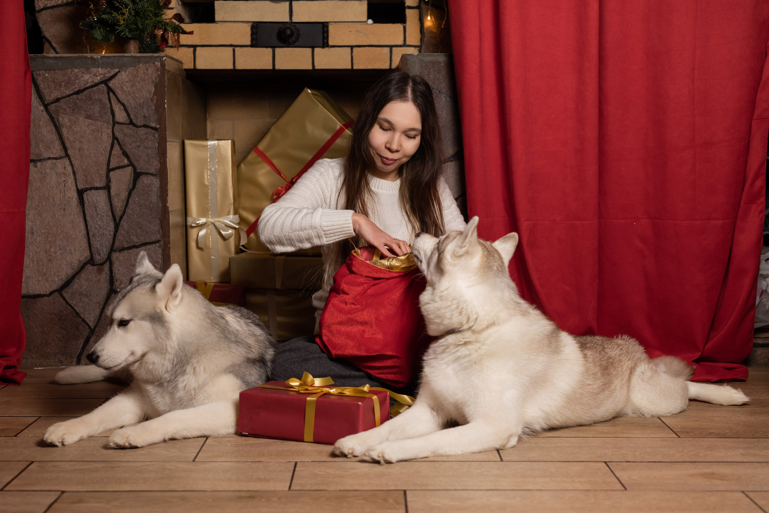 Фотопроект с хаски в частном доме. Фотограф в городе Салават