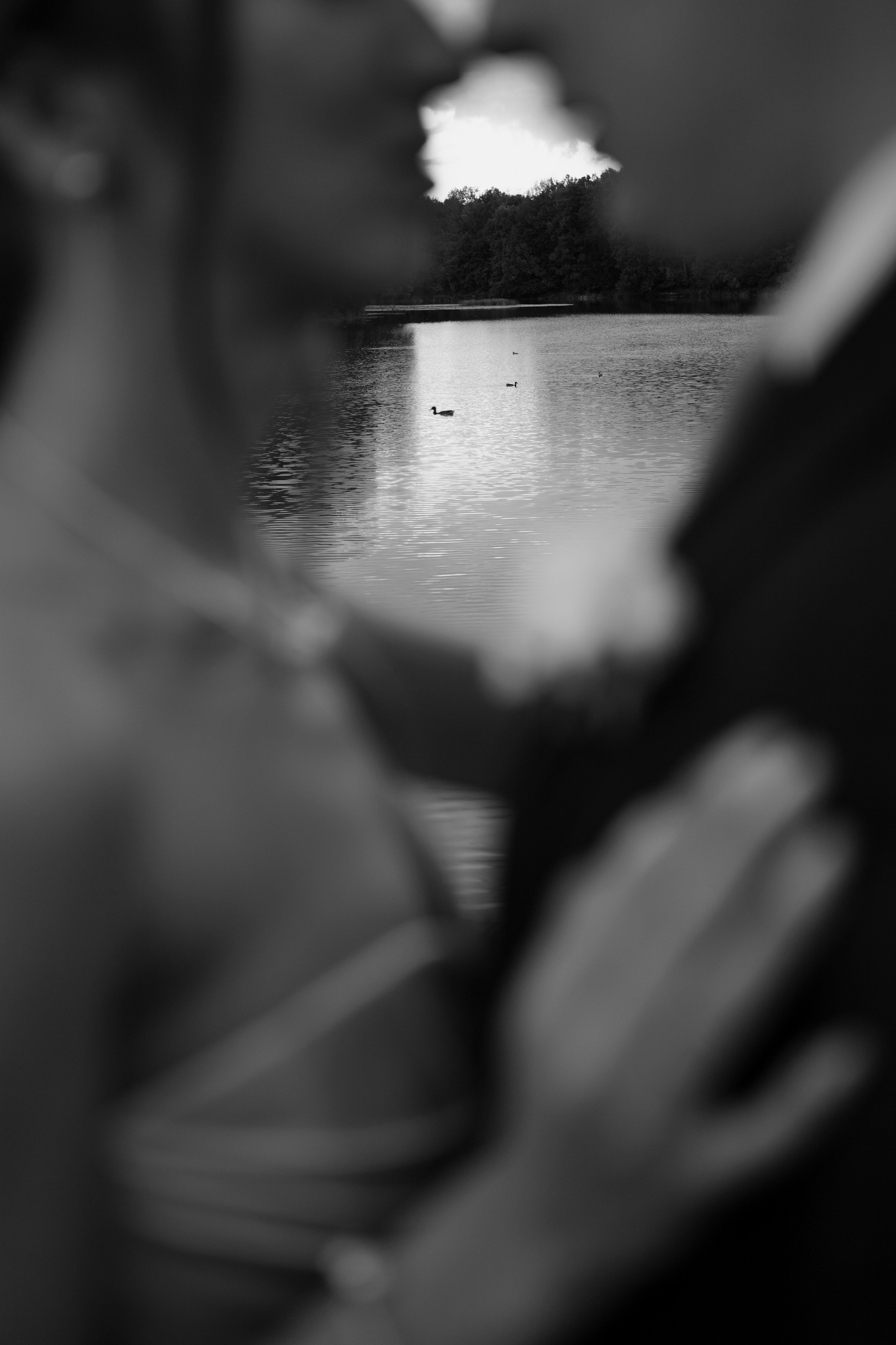 Свадьба Алексея и Кристины. Фотограф Кольчугино/Владимир/Москва Елизавета Иода