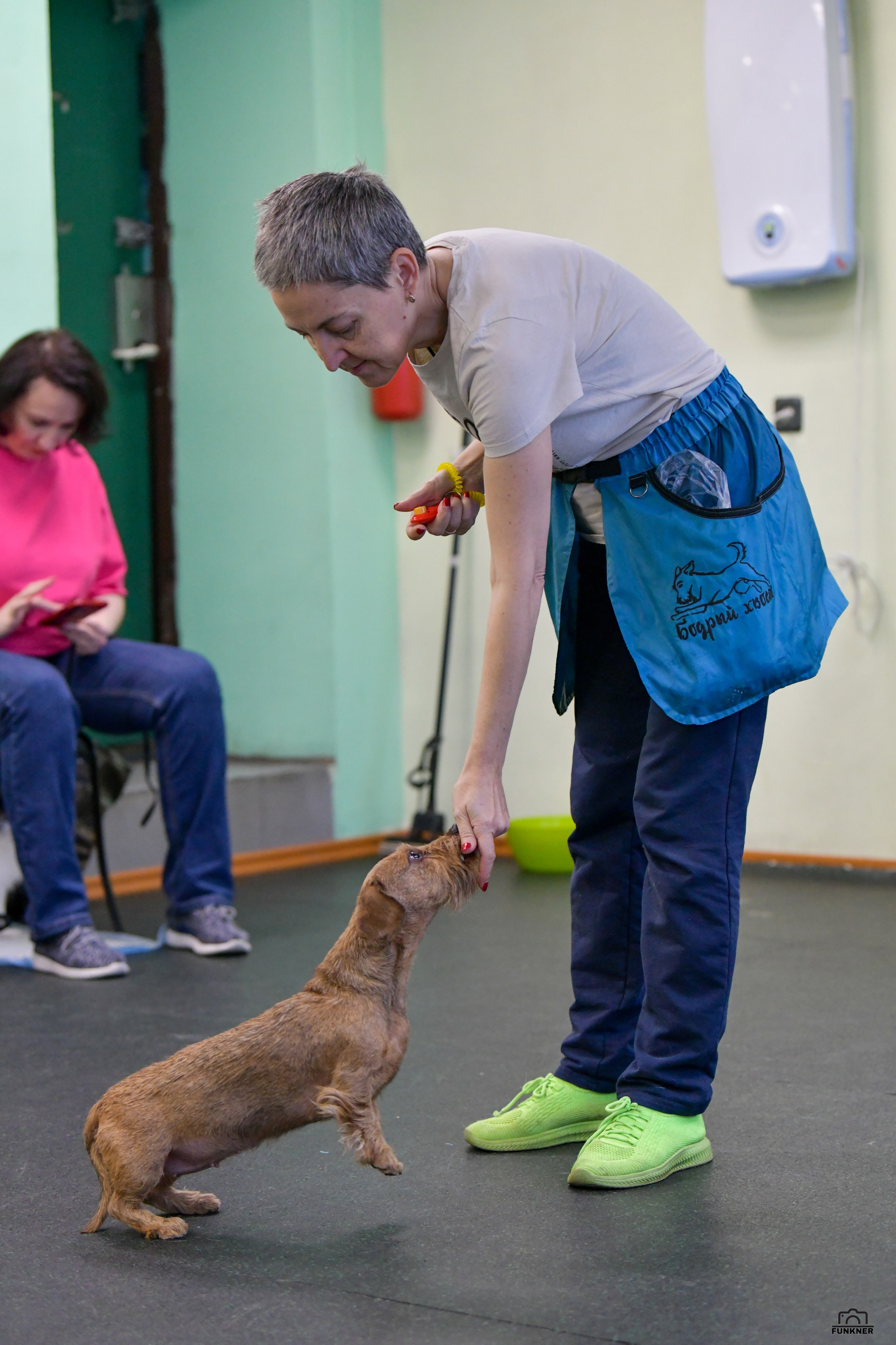 Кинологический клуб «Бодрый хвост». Свой взгляд через объектив