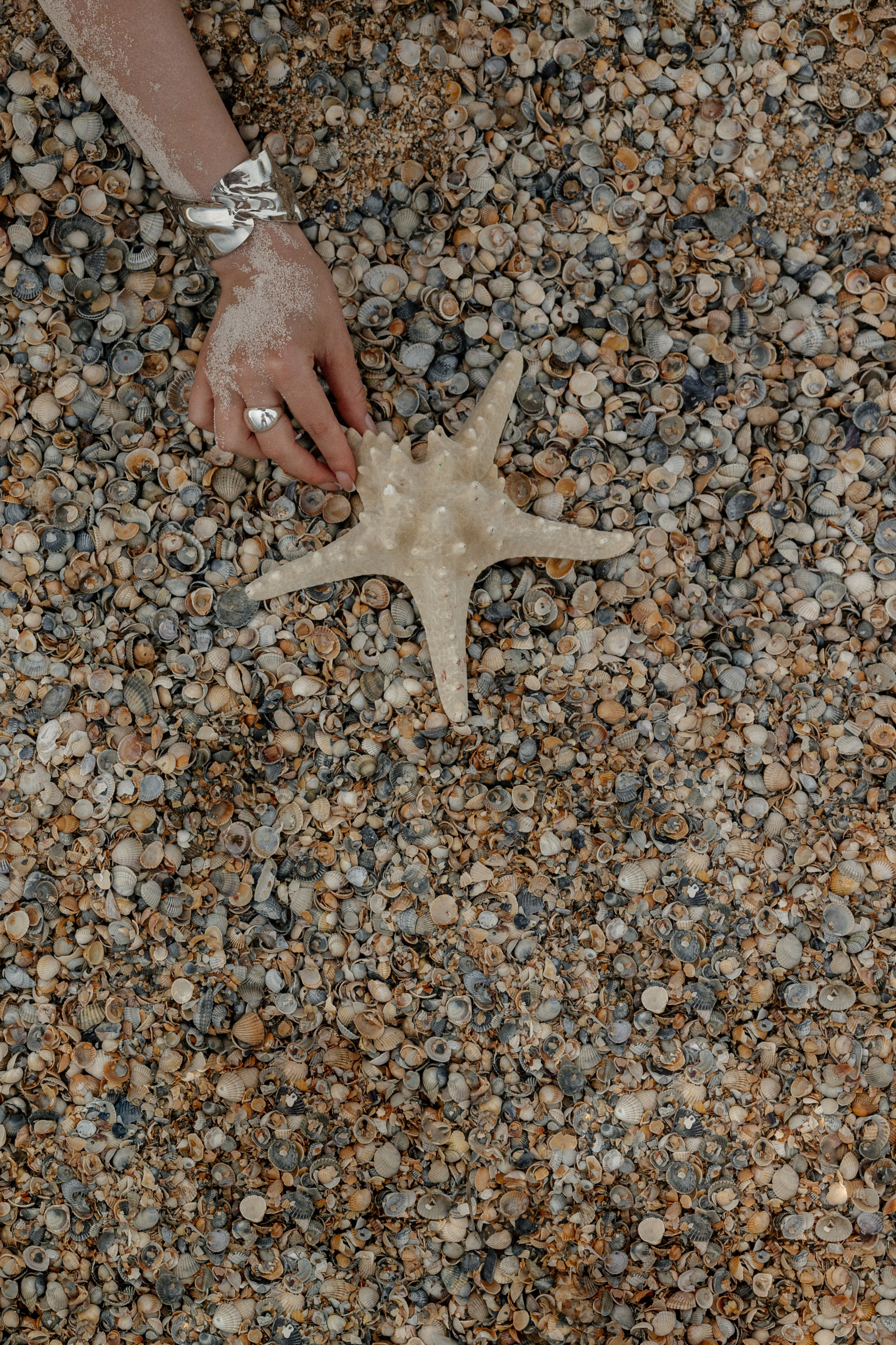 Моё море. Свадебный фотограф Воронеж Москва СПБ