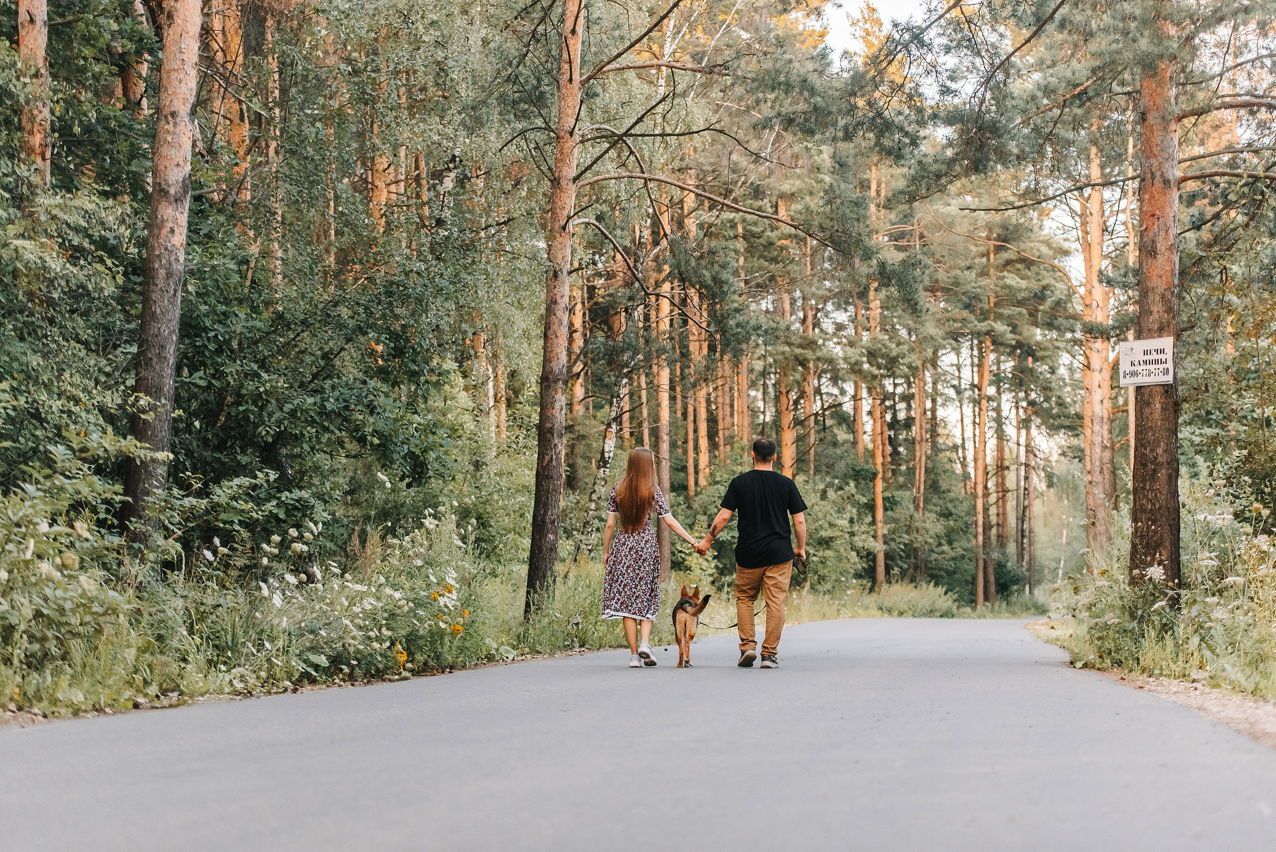 Эмир, Алсу и немецкая овчарка Рэй (Щелково, 2023). Анна Пушина, фотограф, Москва, Королев, Пушкино