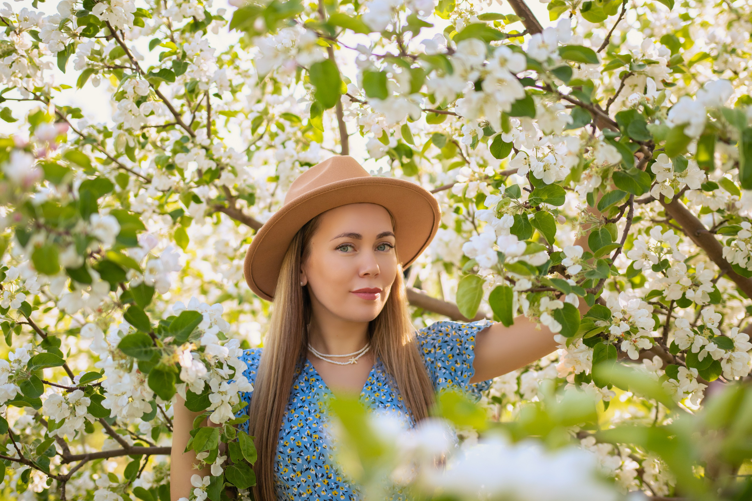 Семейная фотосессия в яблонях. Семейный Фотограф в Красноярске Анастасия Попова