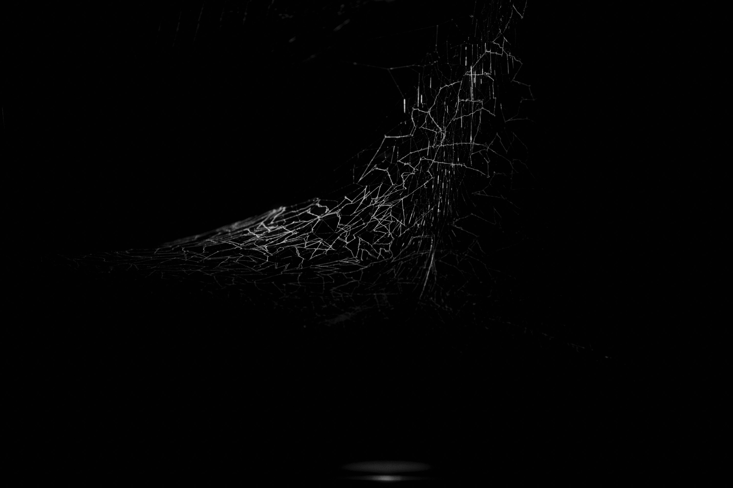 Garage MCA / “Грядущий мир: экология как новая политика. 2030–2100”. Фотограф Юрин Евгений