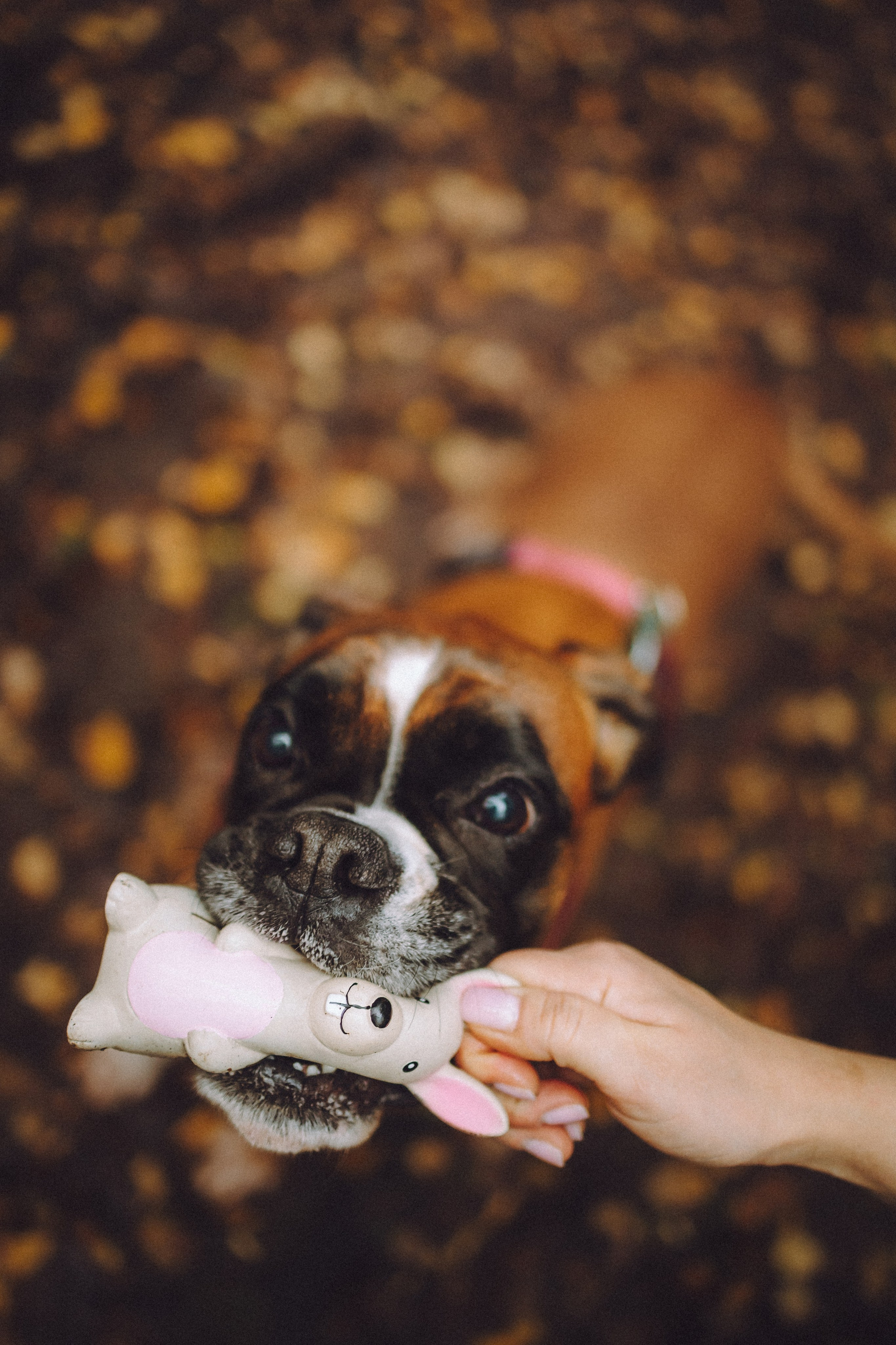 Элли и ее семья