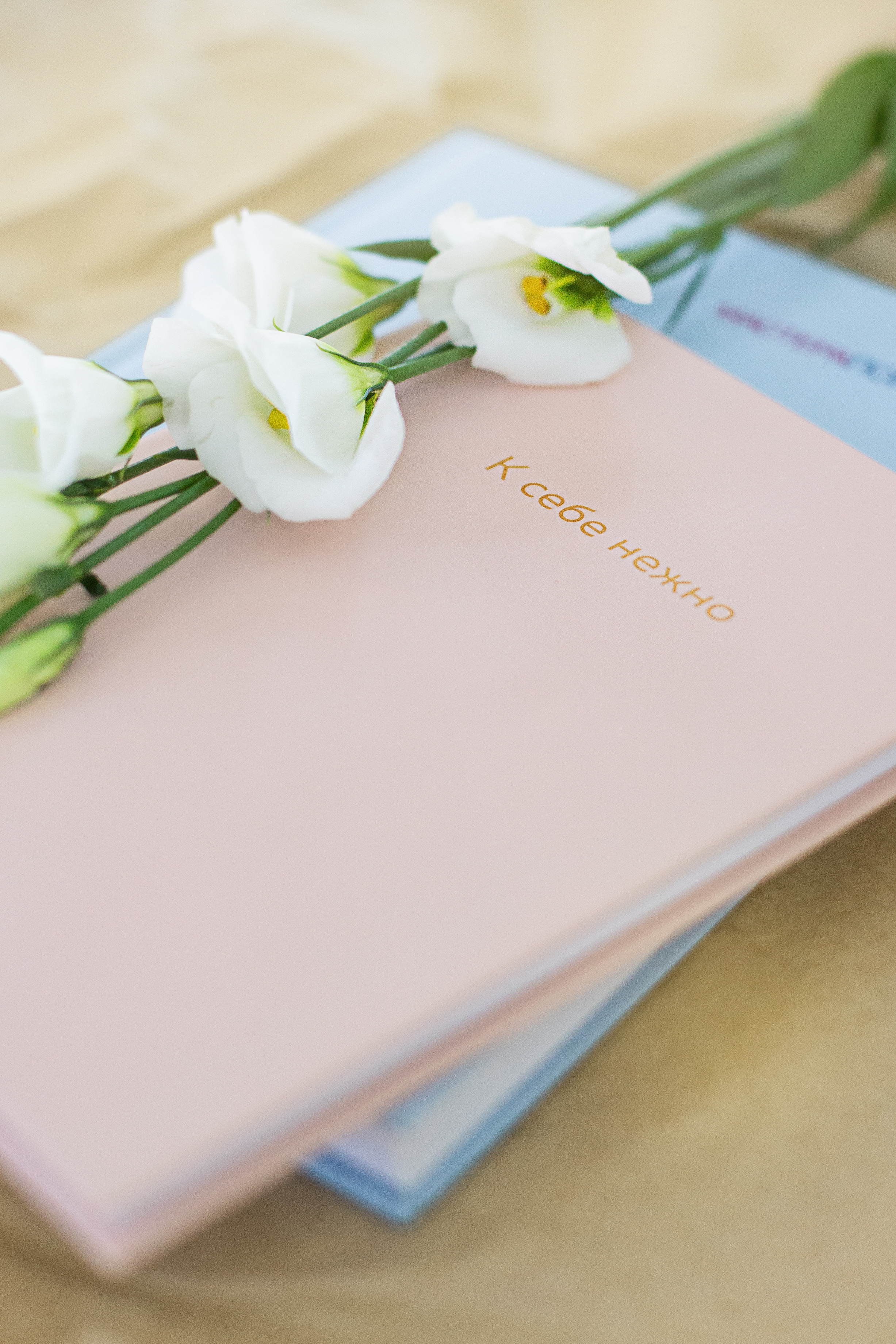 Контент съёмка для психолога. Фотограф СПб Юлия Ерошевская, предметный фотограф