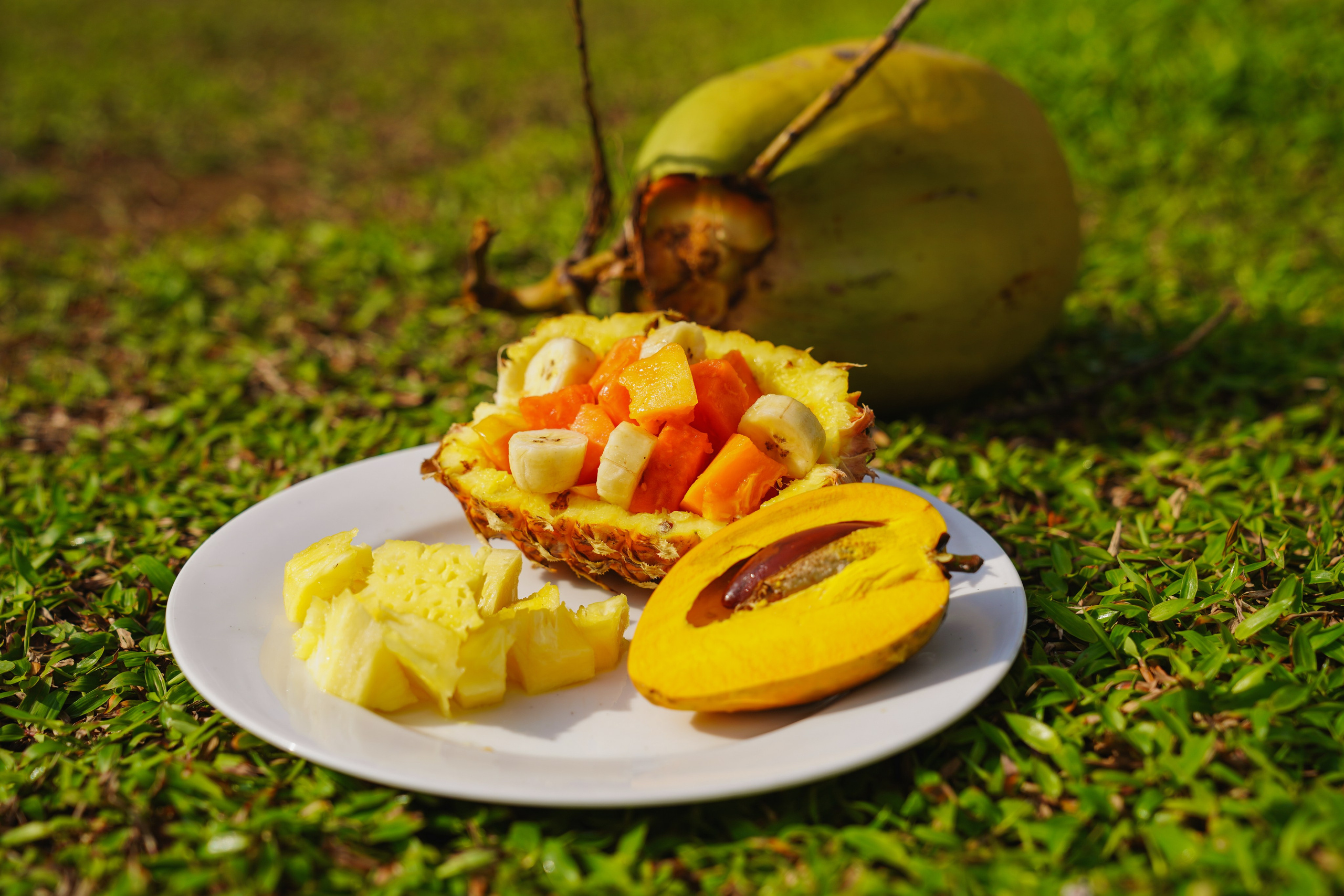 Остров Шри-Ланка. Фотограф Сергей Кишкель Дананг Нячанг Фукуок