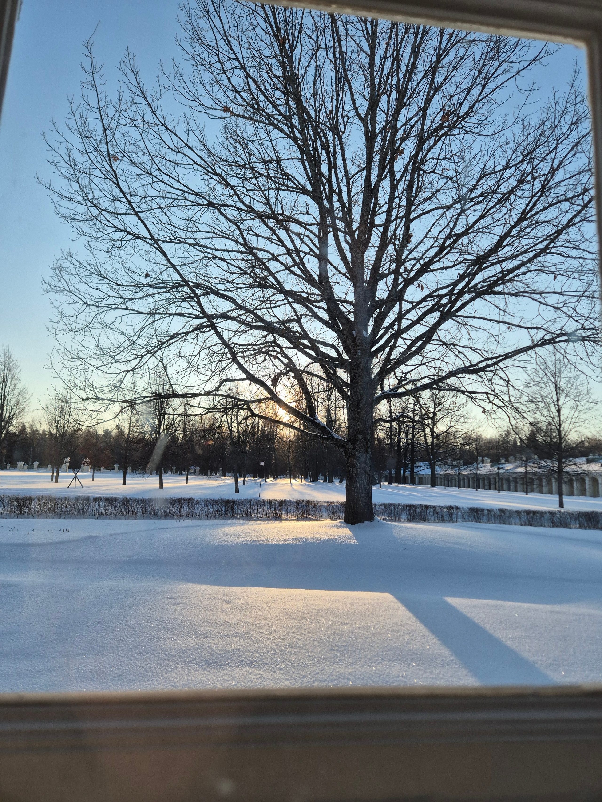 Кроме большого дворца попали и в малый картинный дворец - который строился для хранения коллекции картин и музыкального театра