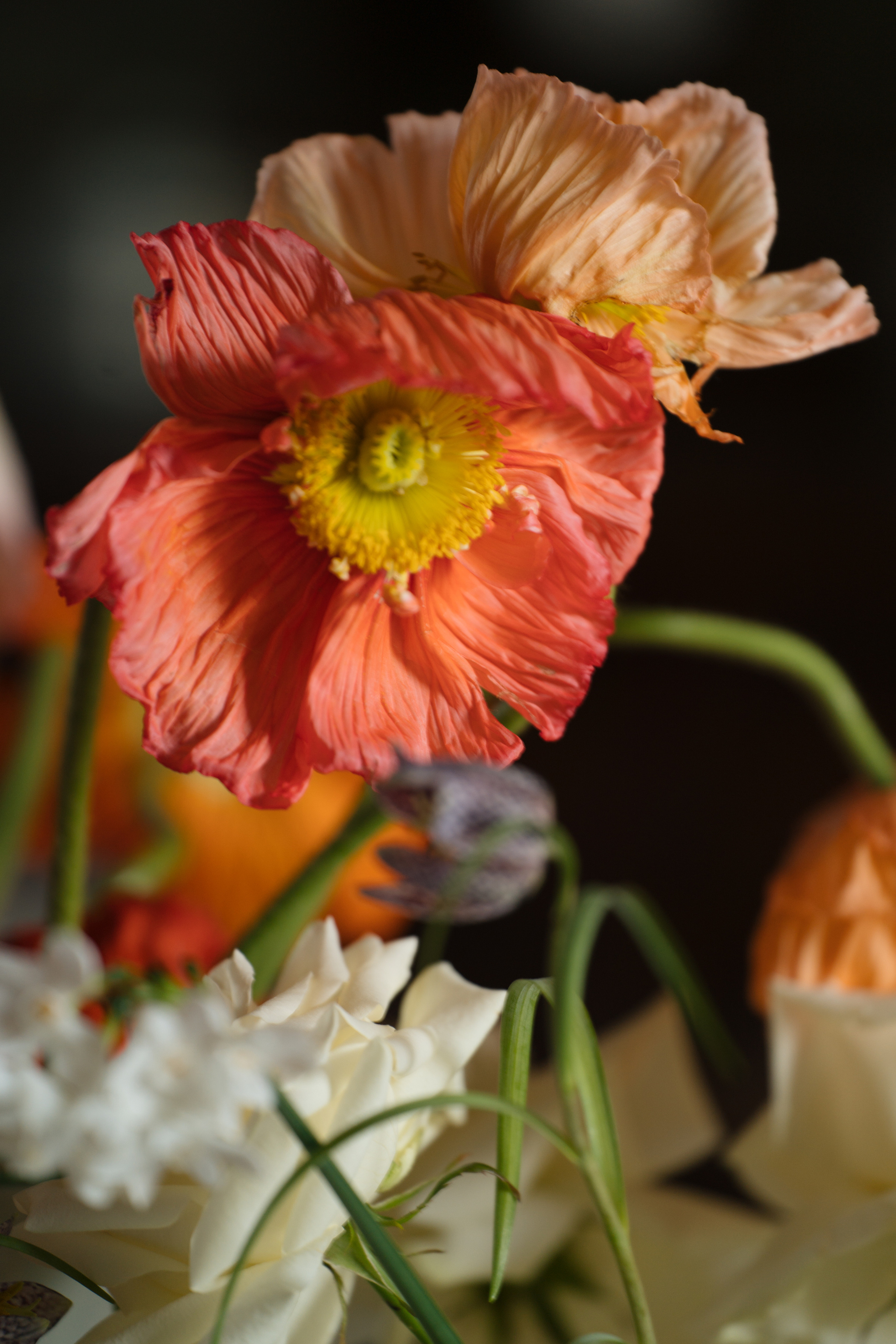 Villa Gropella Wedding. Valeria Coconova Photographer Italy Como Milan