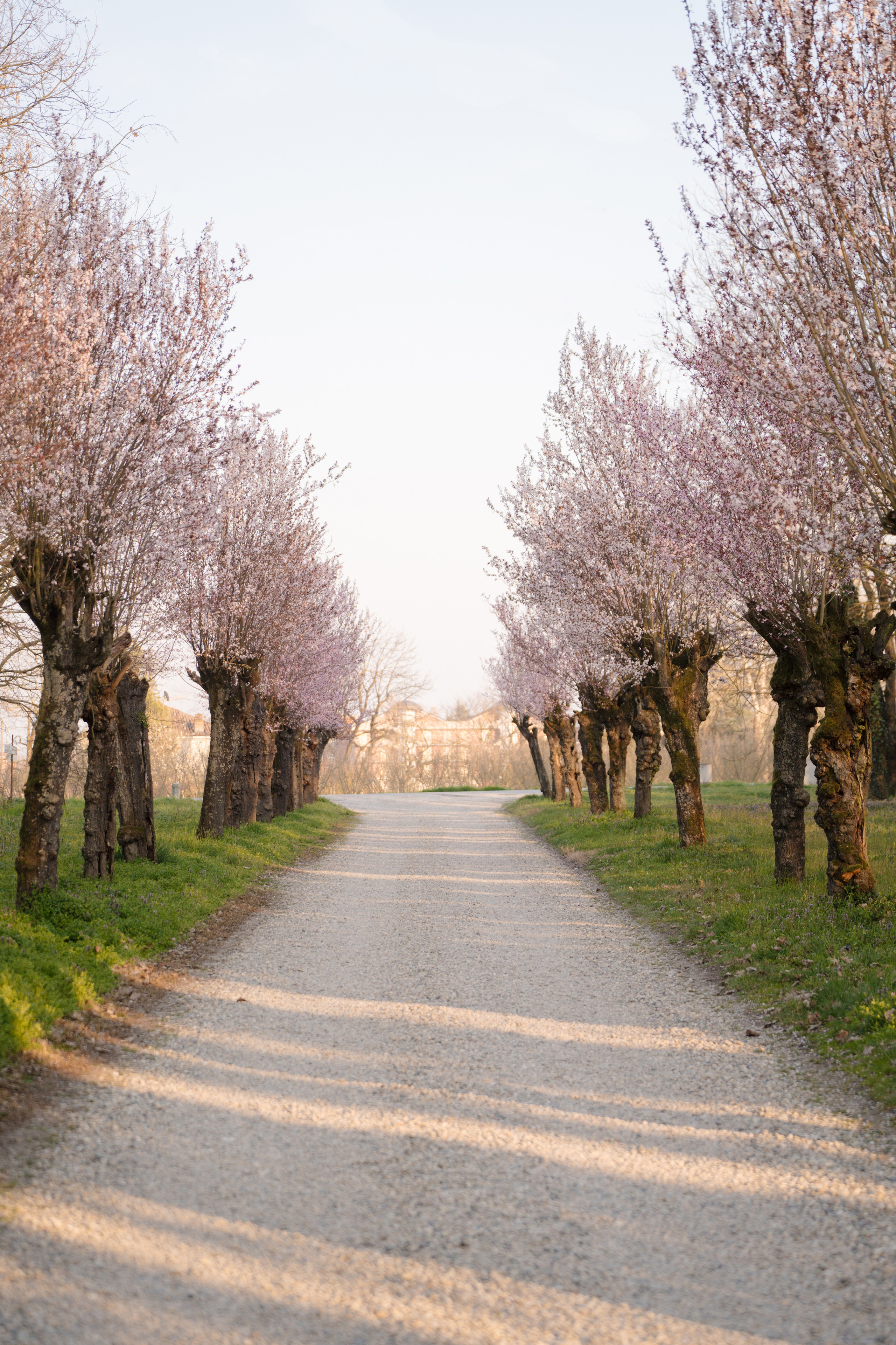 Villa Gropella Wedding. Valeria Coconova Photographer Italy Como Milan