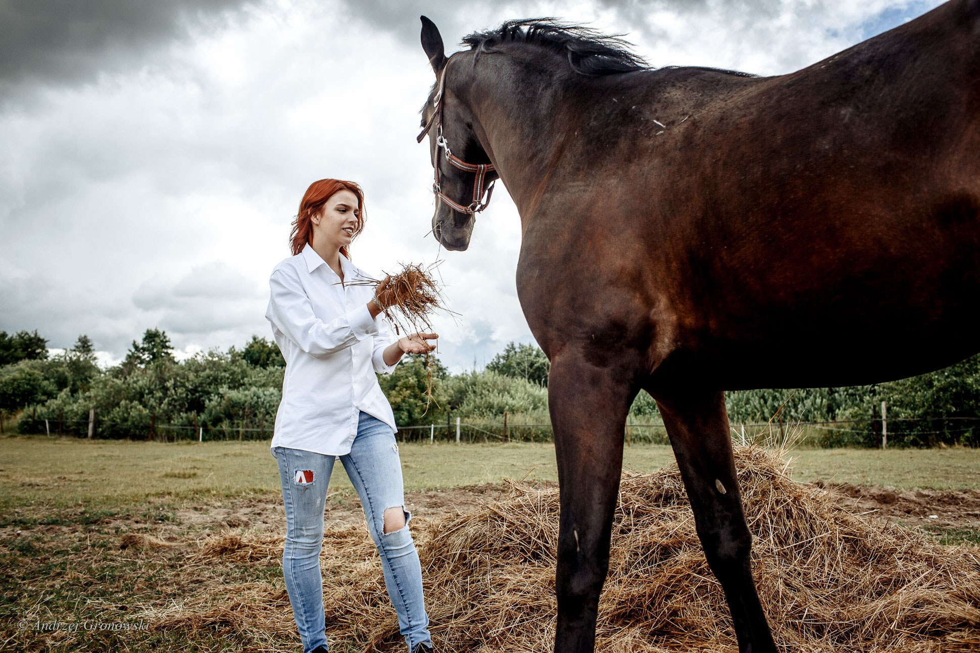 Рыжие и лошади. A. Гроновски —Портретный женский фотограф в Калининграде| Портреты, НЮ, Репортажи