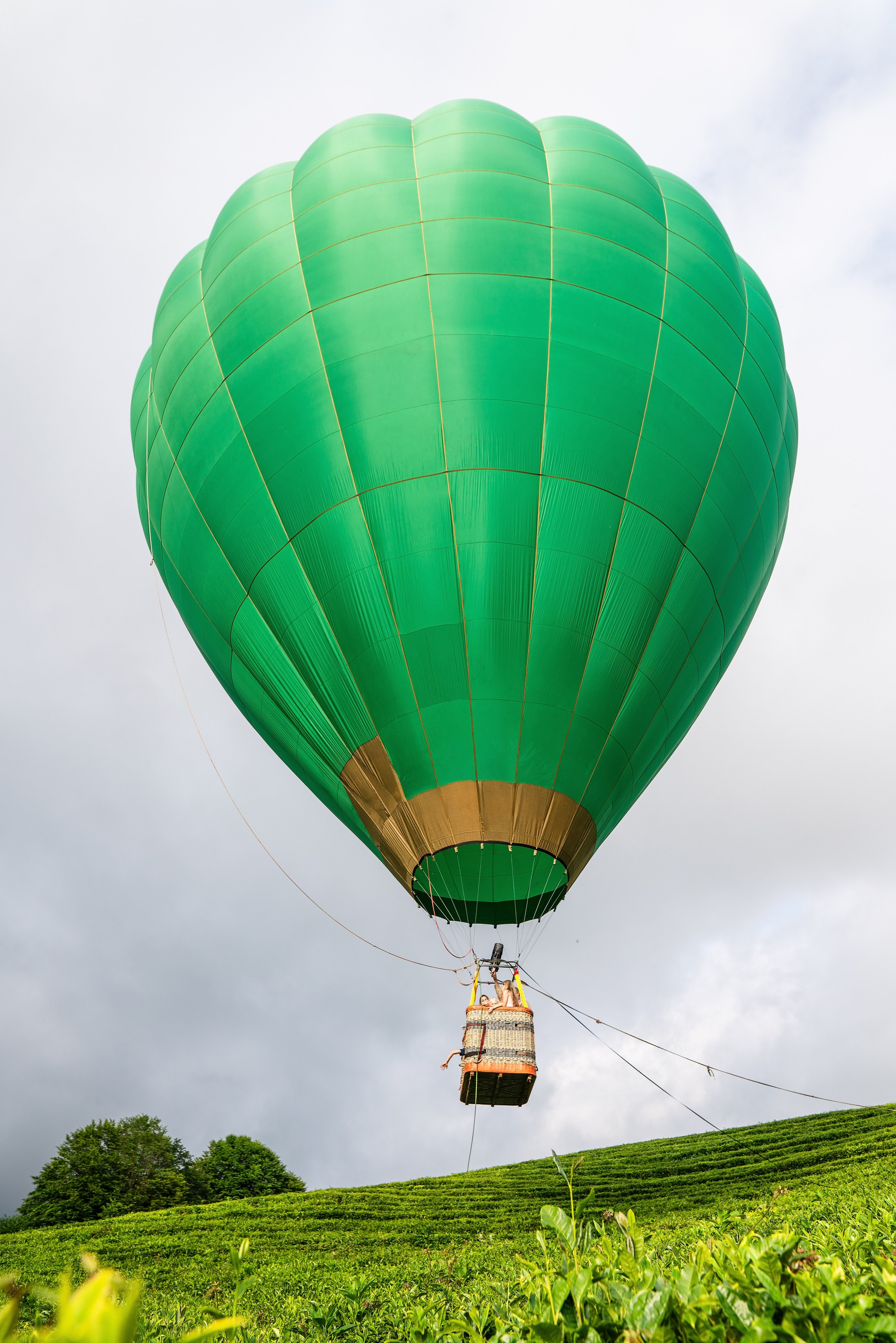 Фотограф на праздник Сочи. Фотограф Сочи