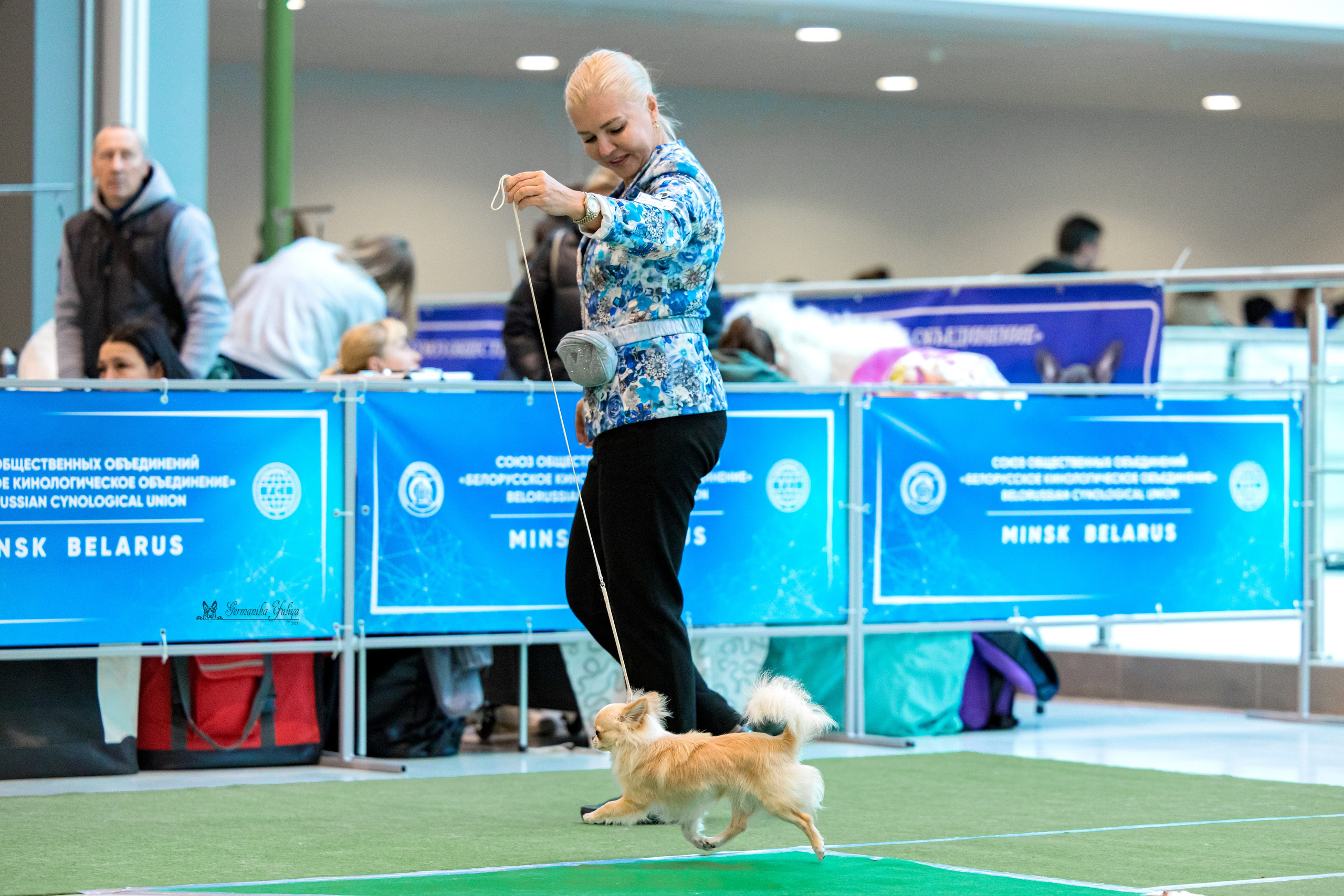 Минск 25-26.11.2023. Фотограф-анималист Юлия Германика