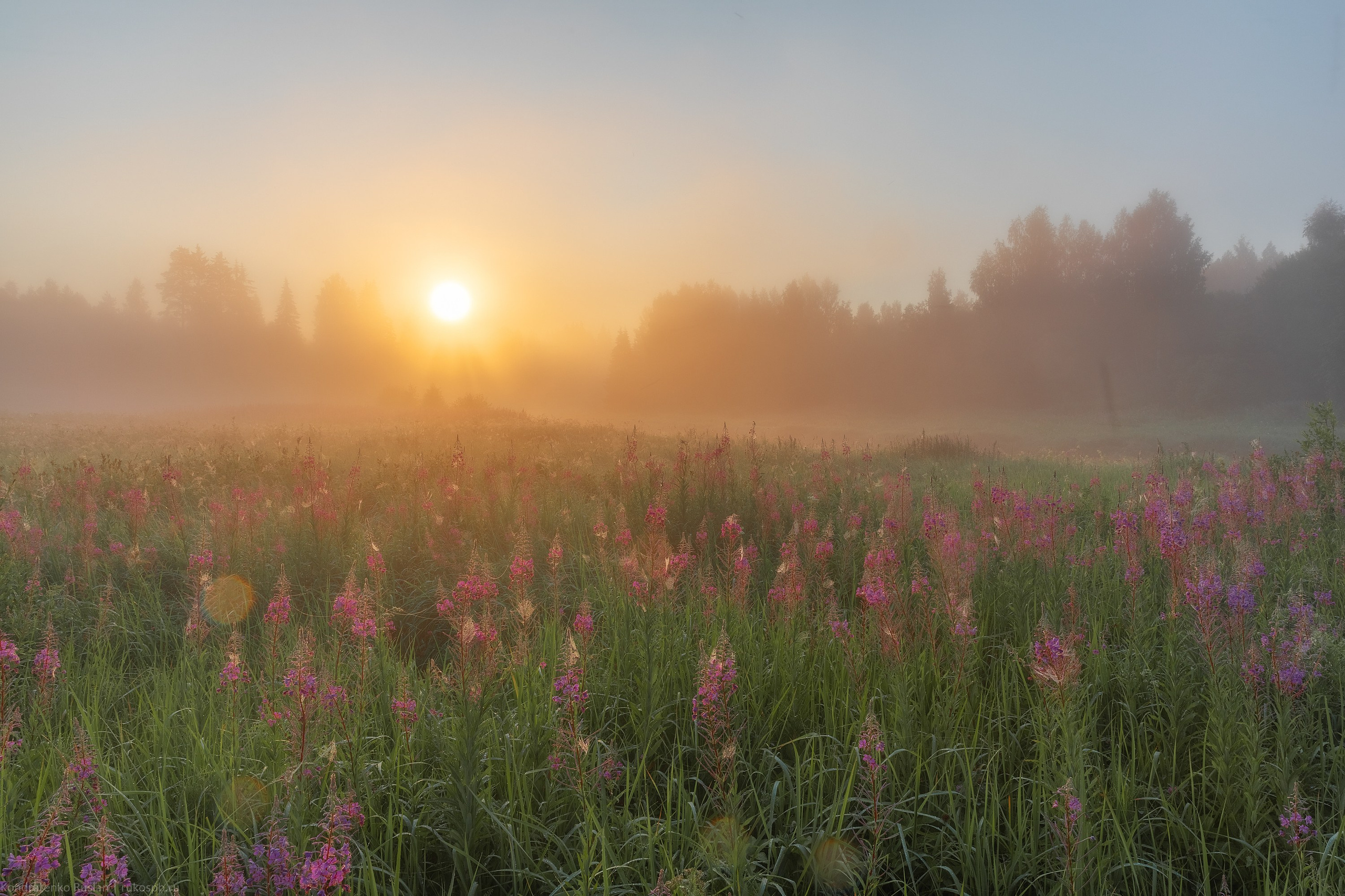Ленинградская область. Архитектурный и пейзажный фотограф Кондратенко Руслан, Санкт-Петербург