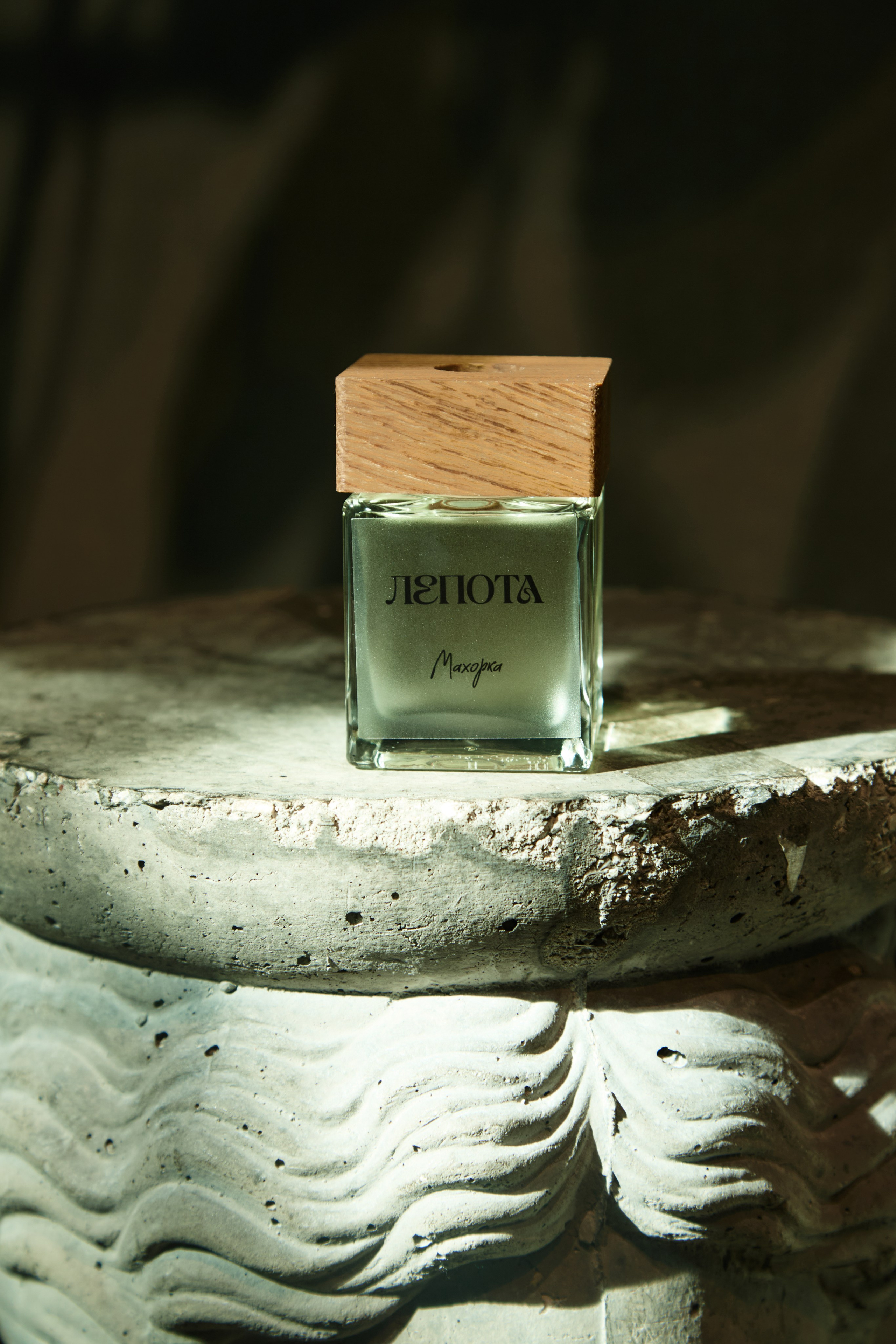 LEPOTA. Smirnova Liza