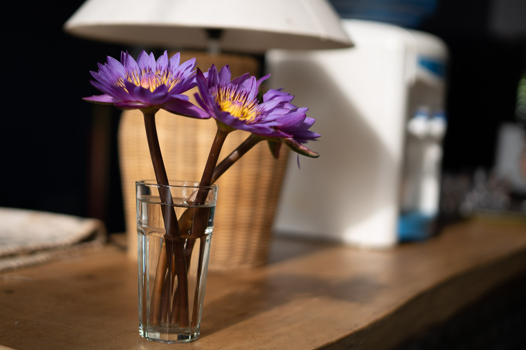 Women’s Circle Art Therapy