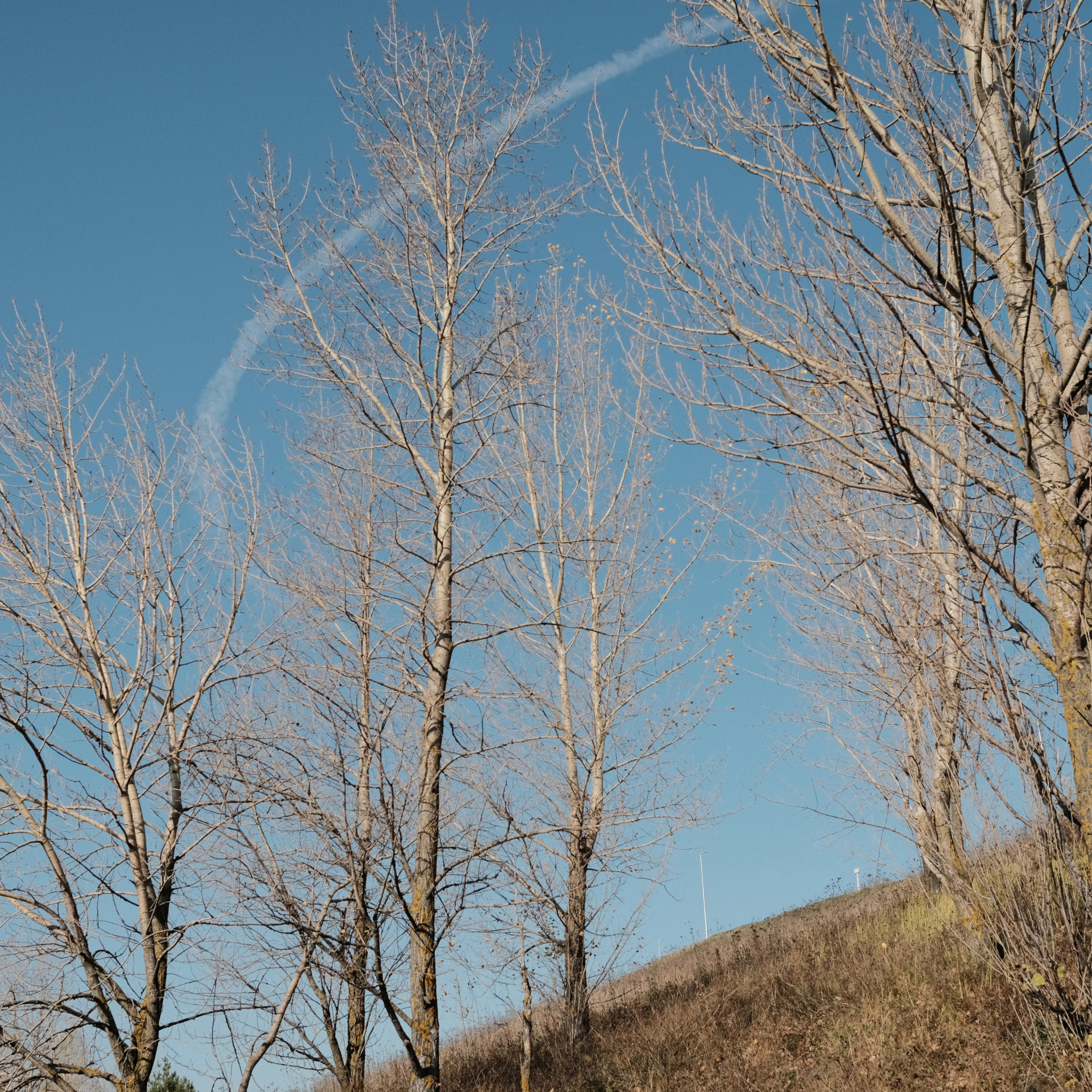 Нижний Новгород. LIYALEE PHOTO