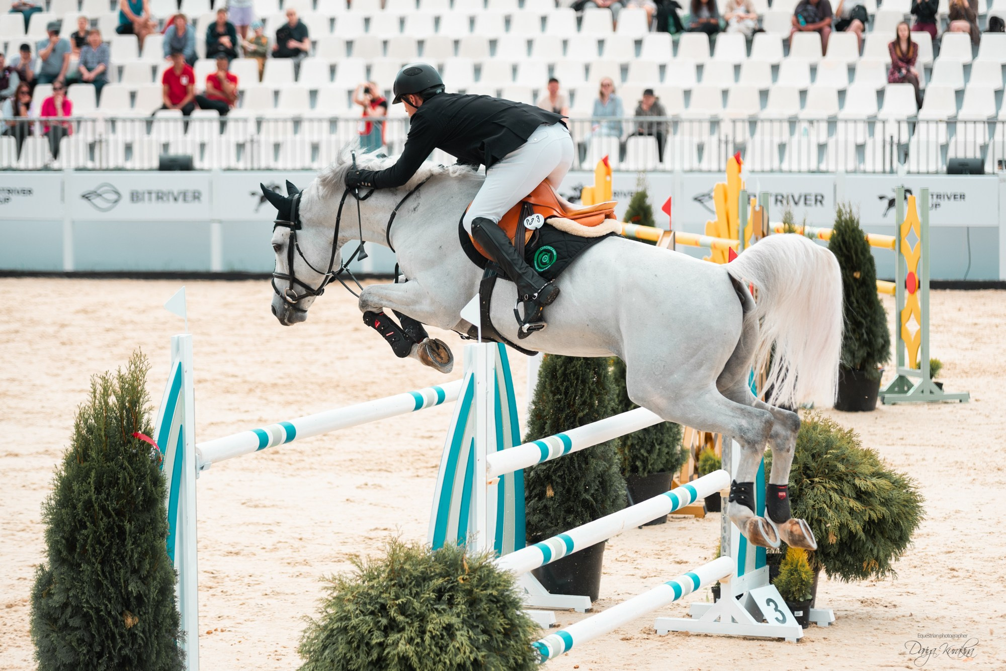 BITRIVER CUP 2023. Конный фотограф Куракина Дарья • Фотосессии с лошадьми