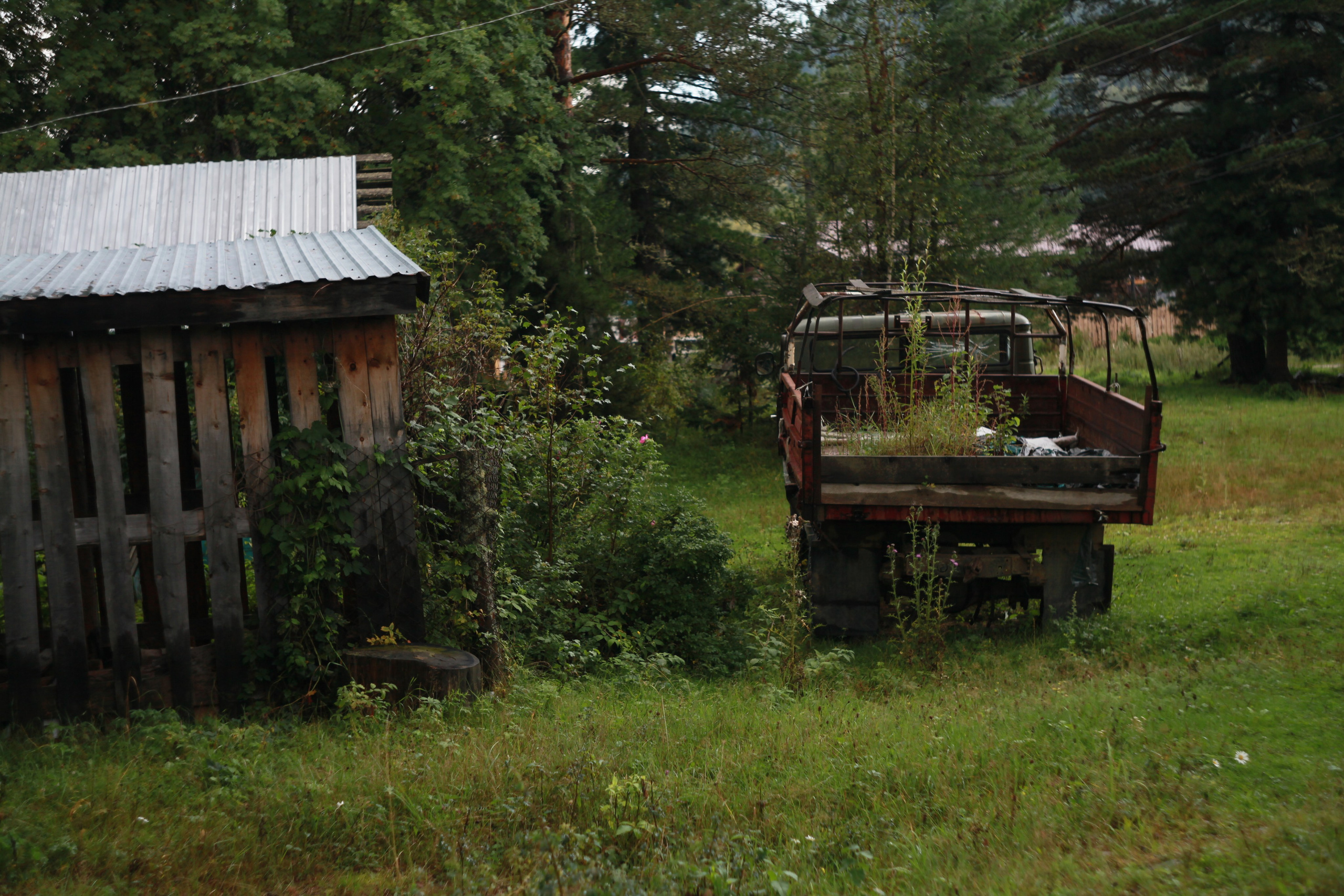 Скос. Den Mirov — Фотограф, Музыкант