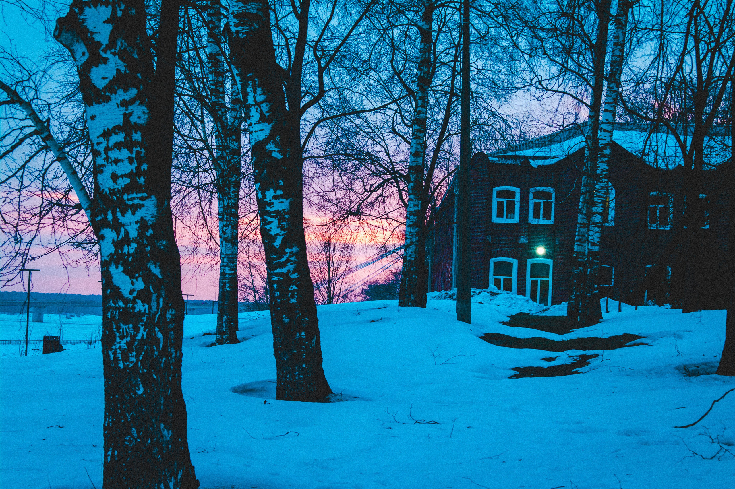 Remnants of Winter. Den Mirov — Photographer, Musician