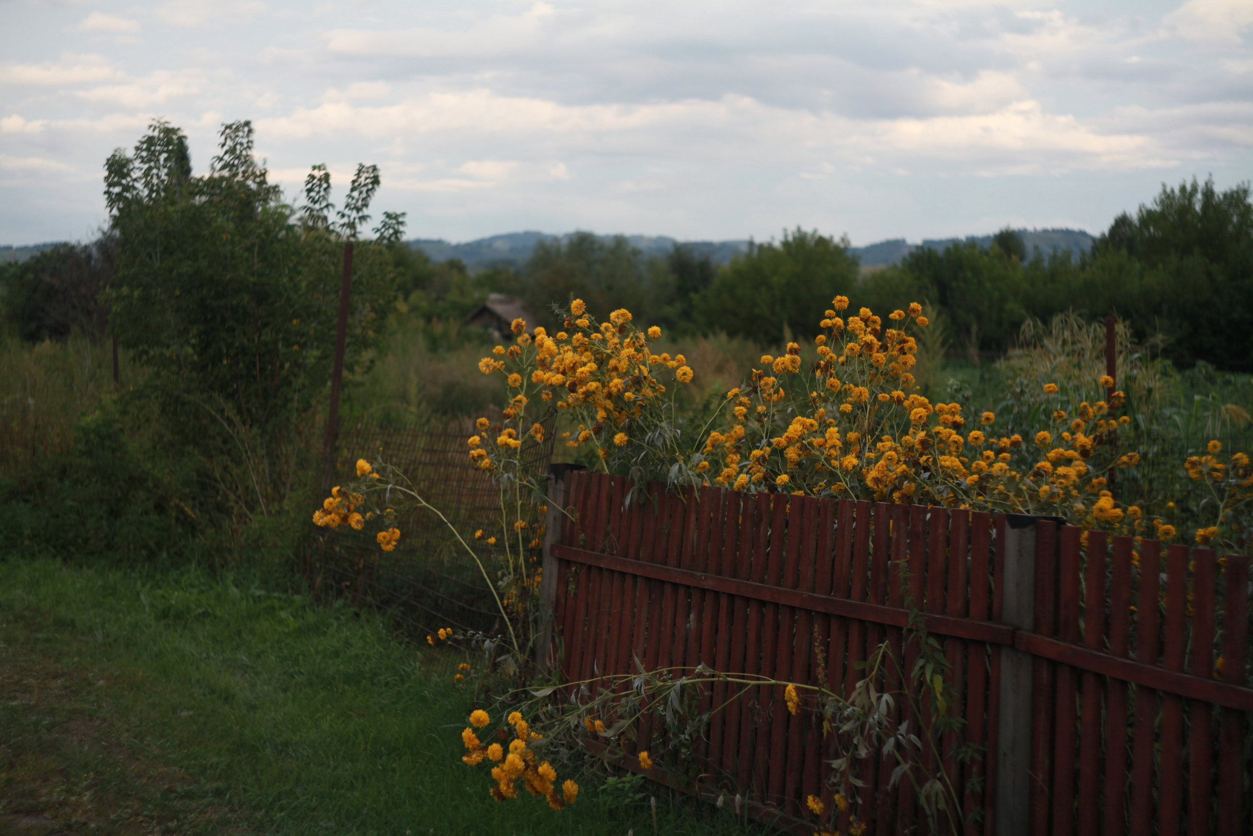 Ая. Den Mirov — Photographer, Musician